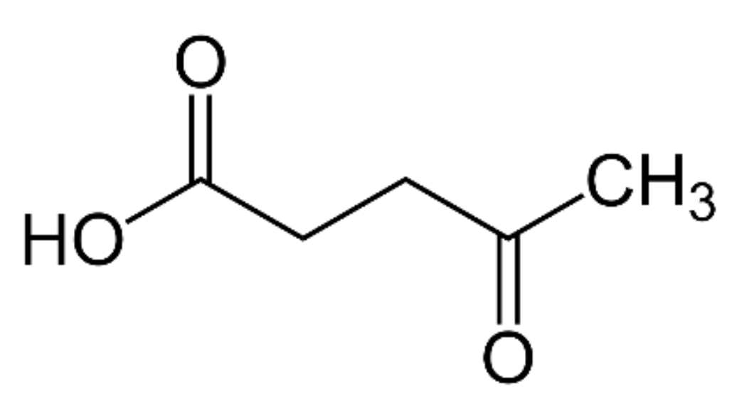 Molecules 27 01472 sch002