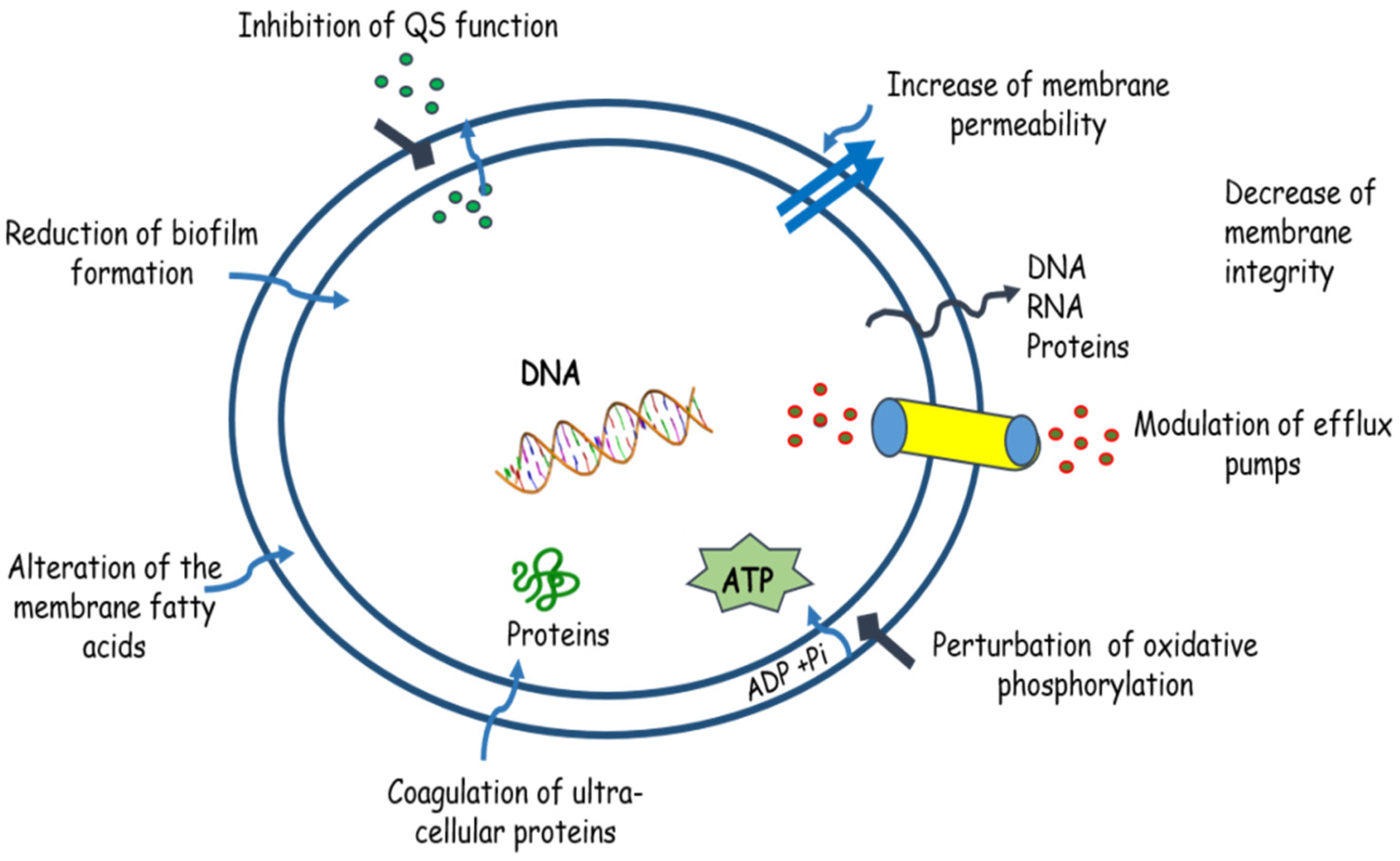 Molecules 27 01484 g001 Molecules 27 01484 g001