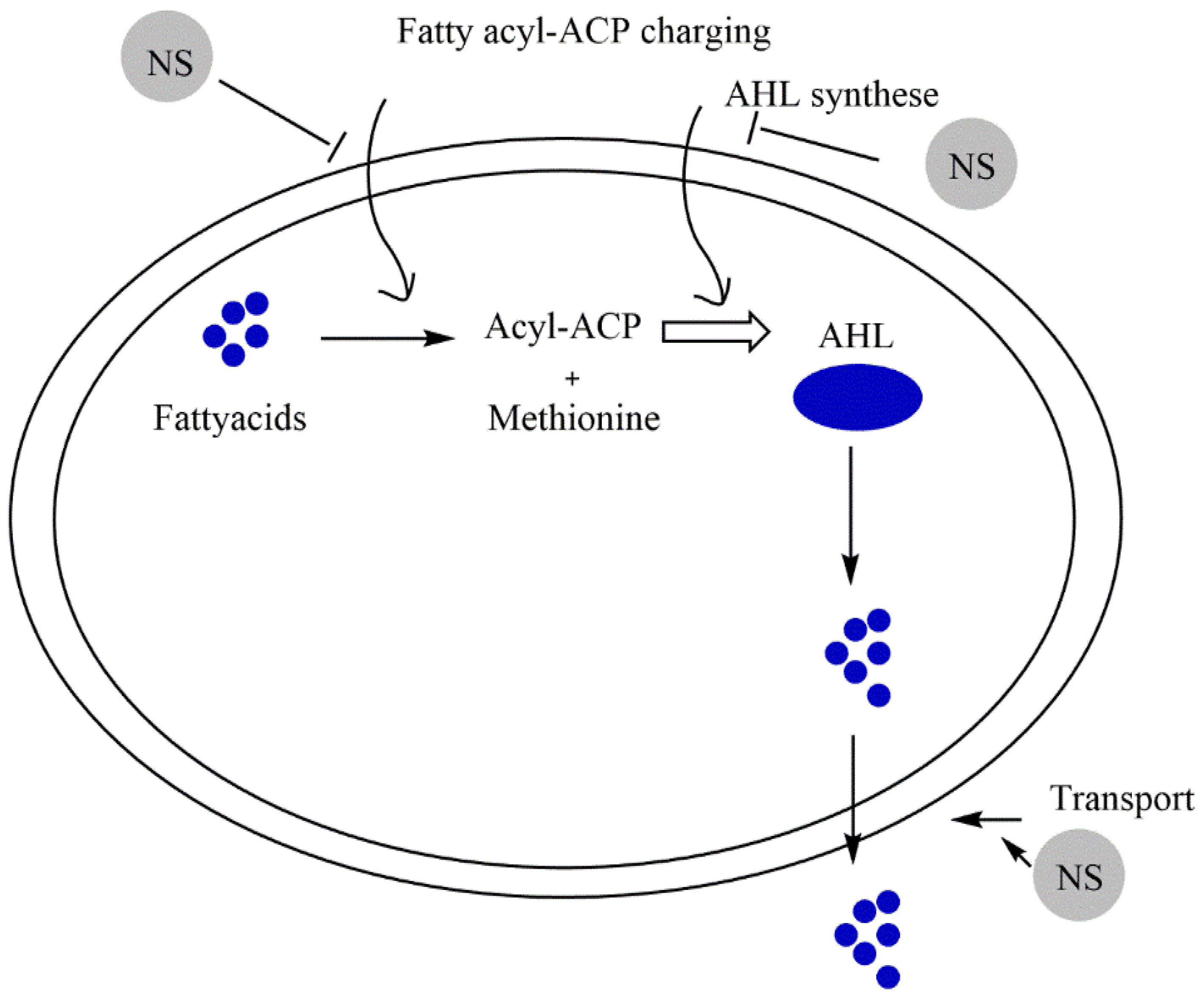 Molecules 27 01484 g003 Molecules 27 01484 g003