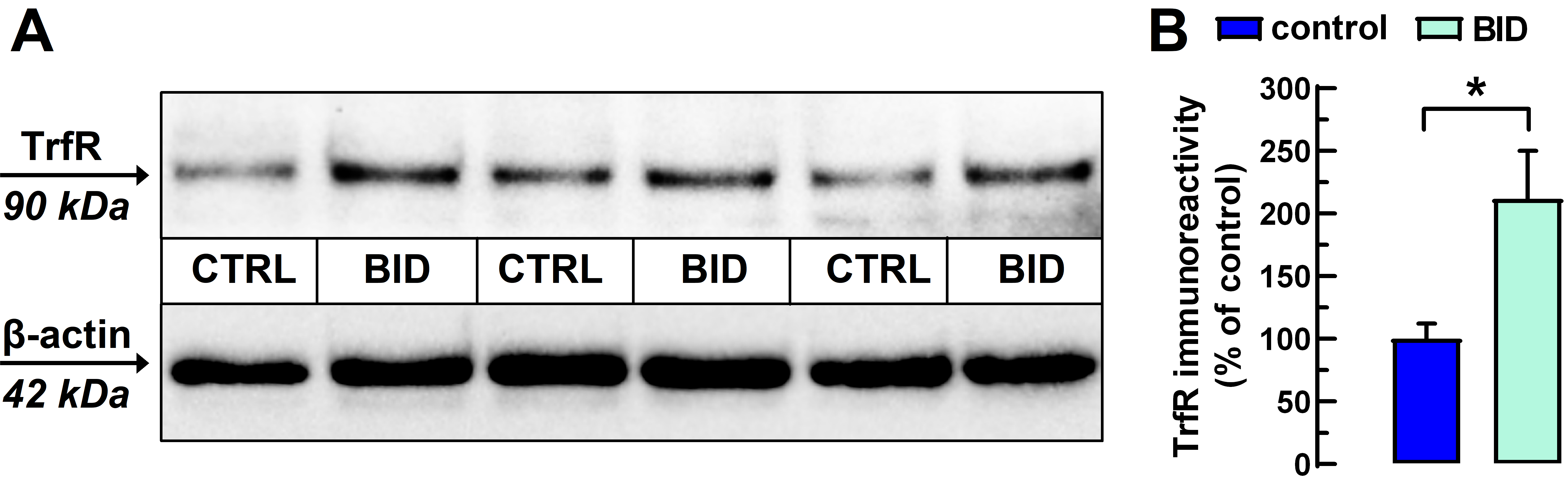 Molecules 27 01489 g001 550