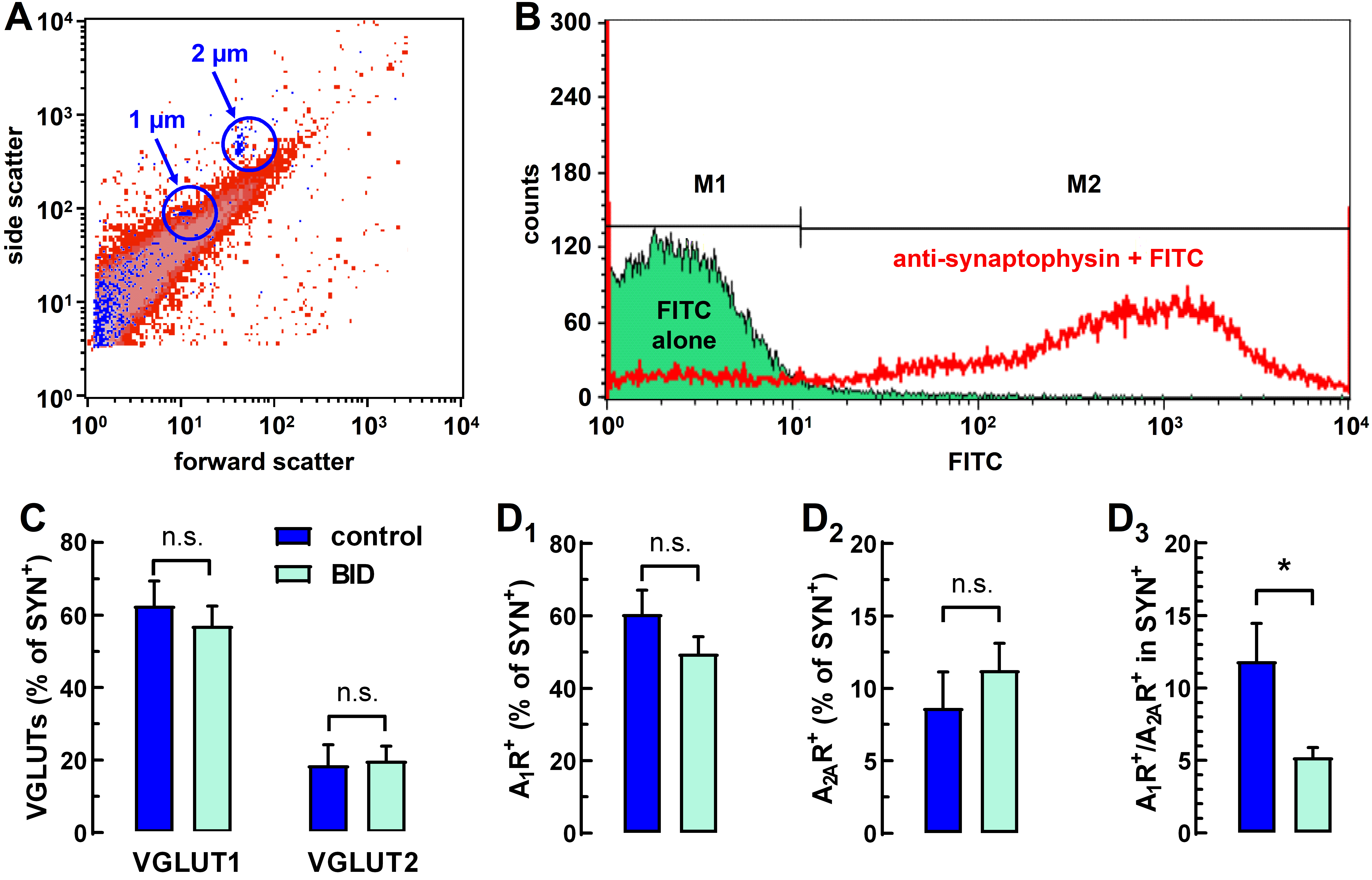 Molecules 27 01489 g002 550