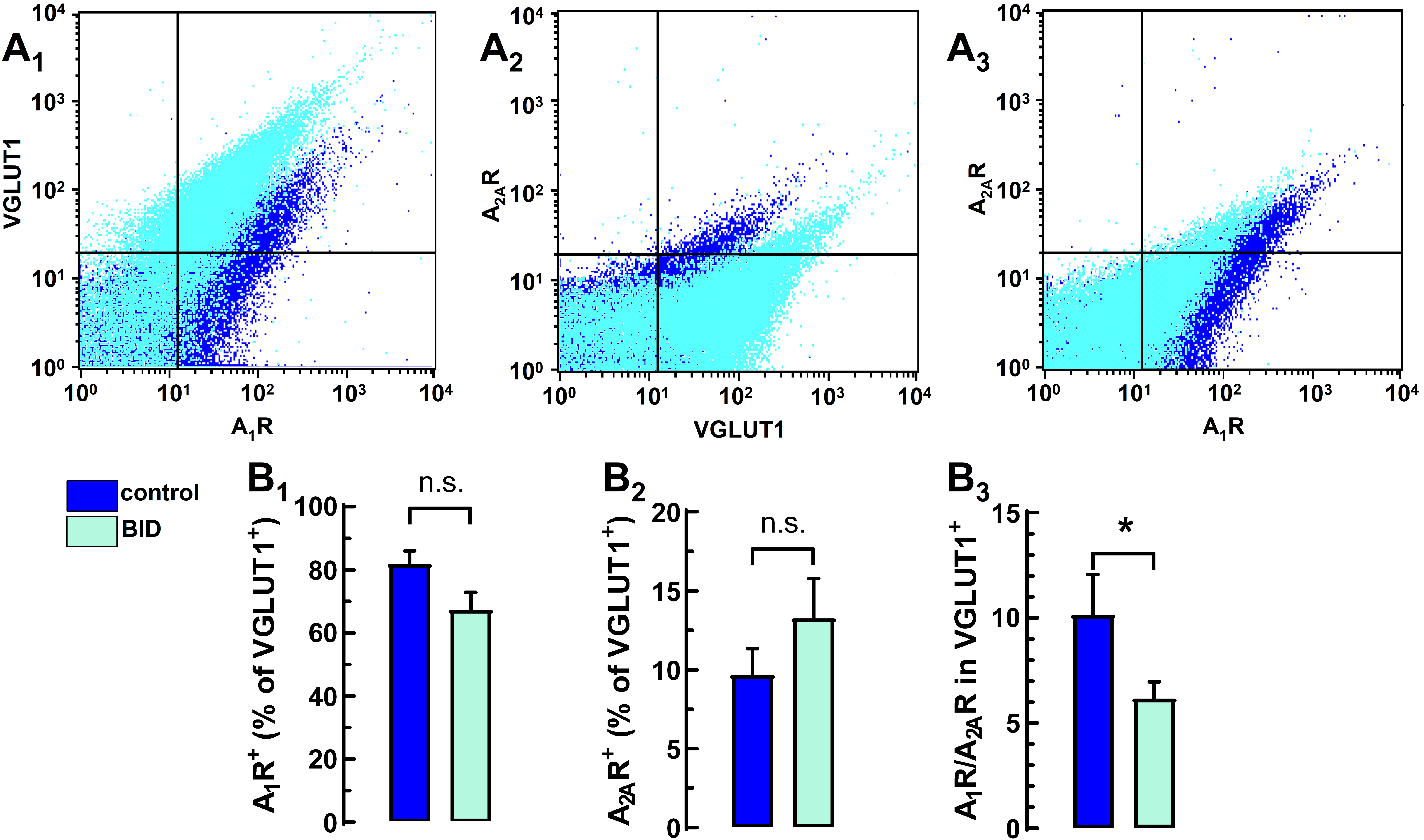Molecules 27 01489 g003 550