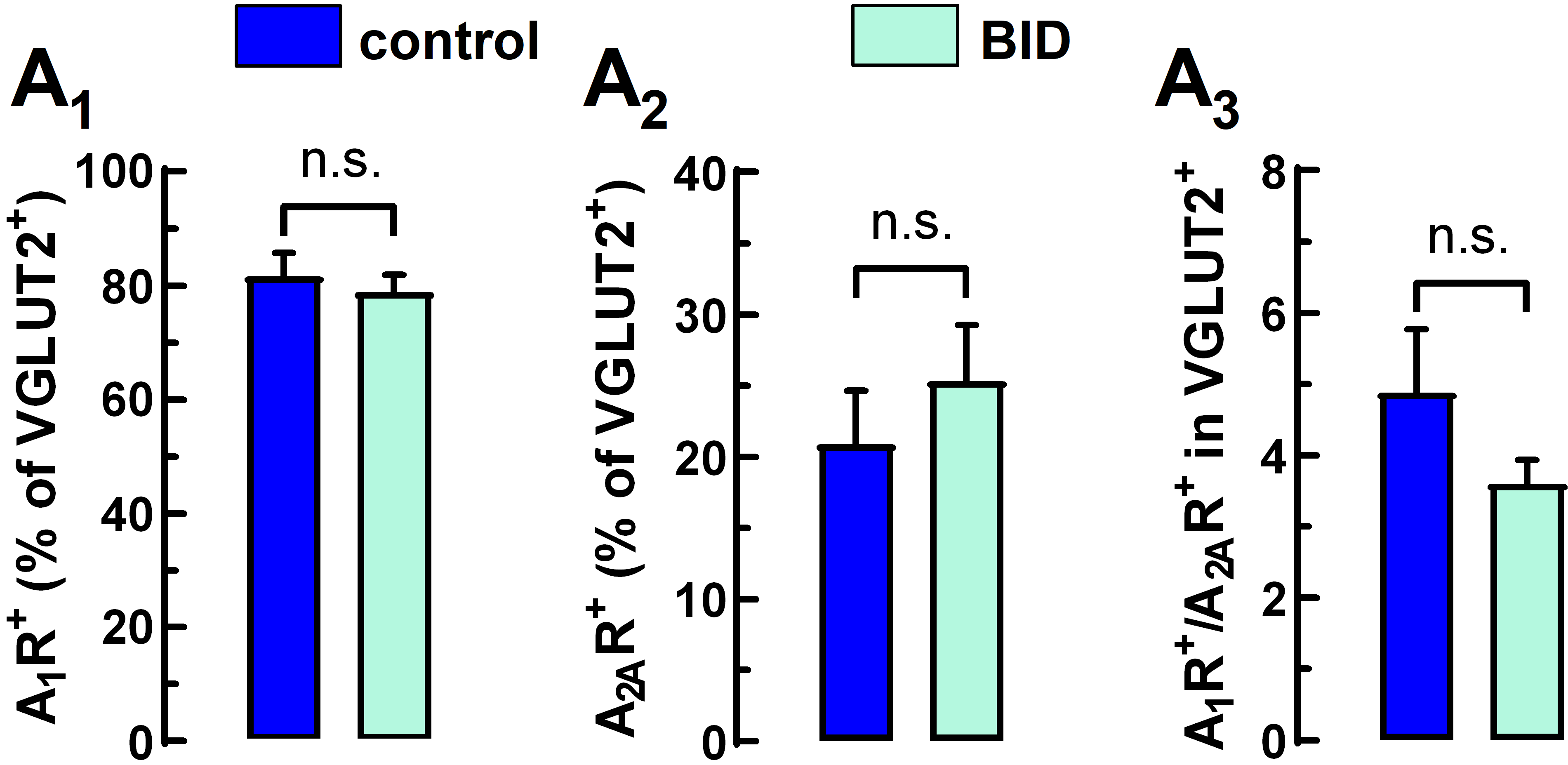 Molecules 27 01489 g004 550