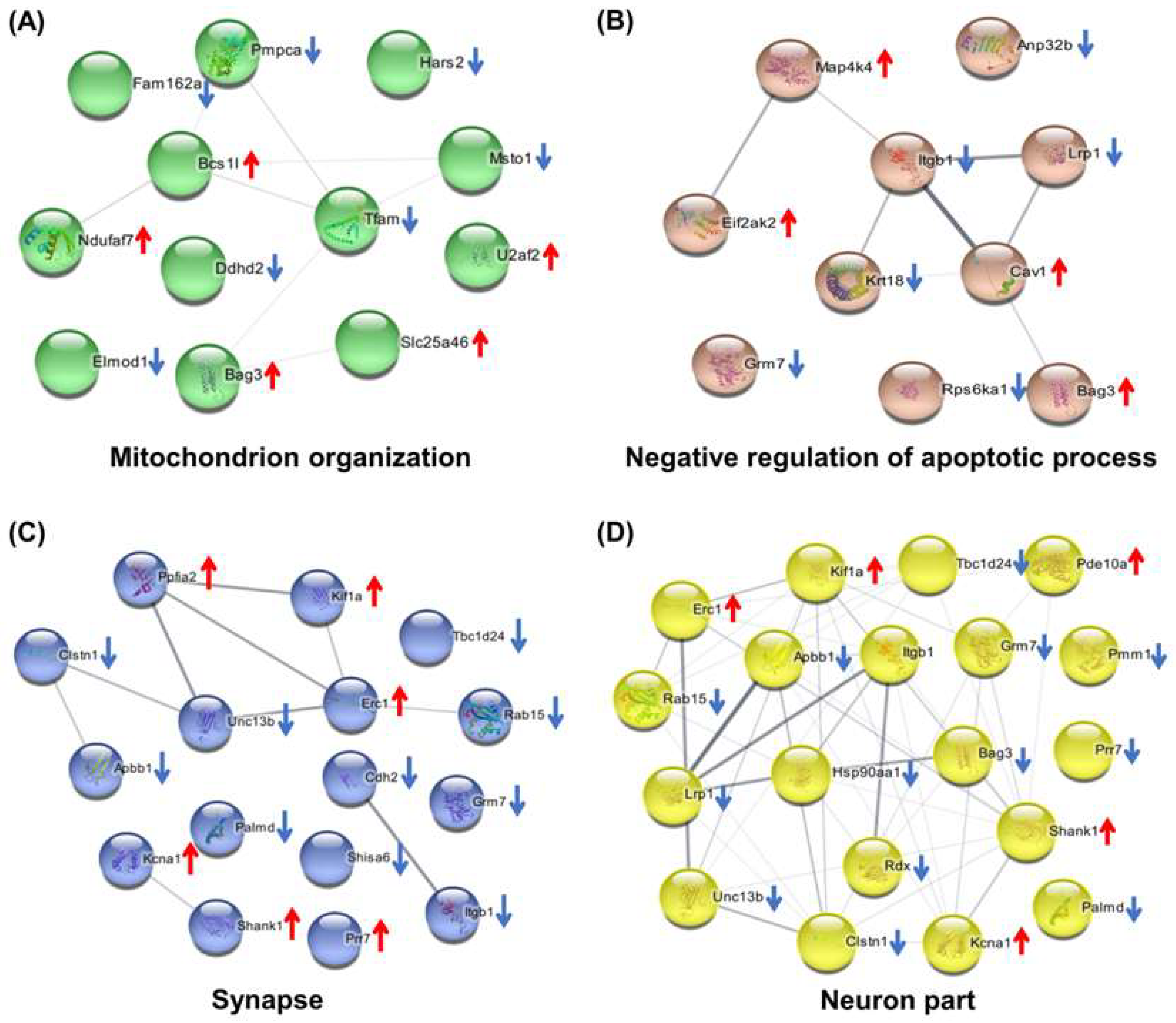 Molecules 27 01495 g004 550