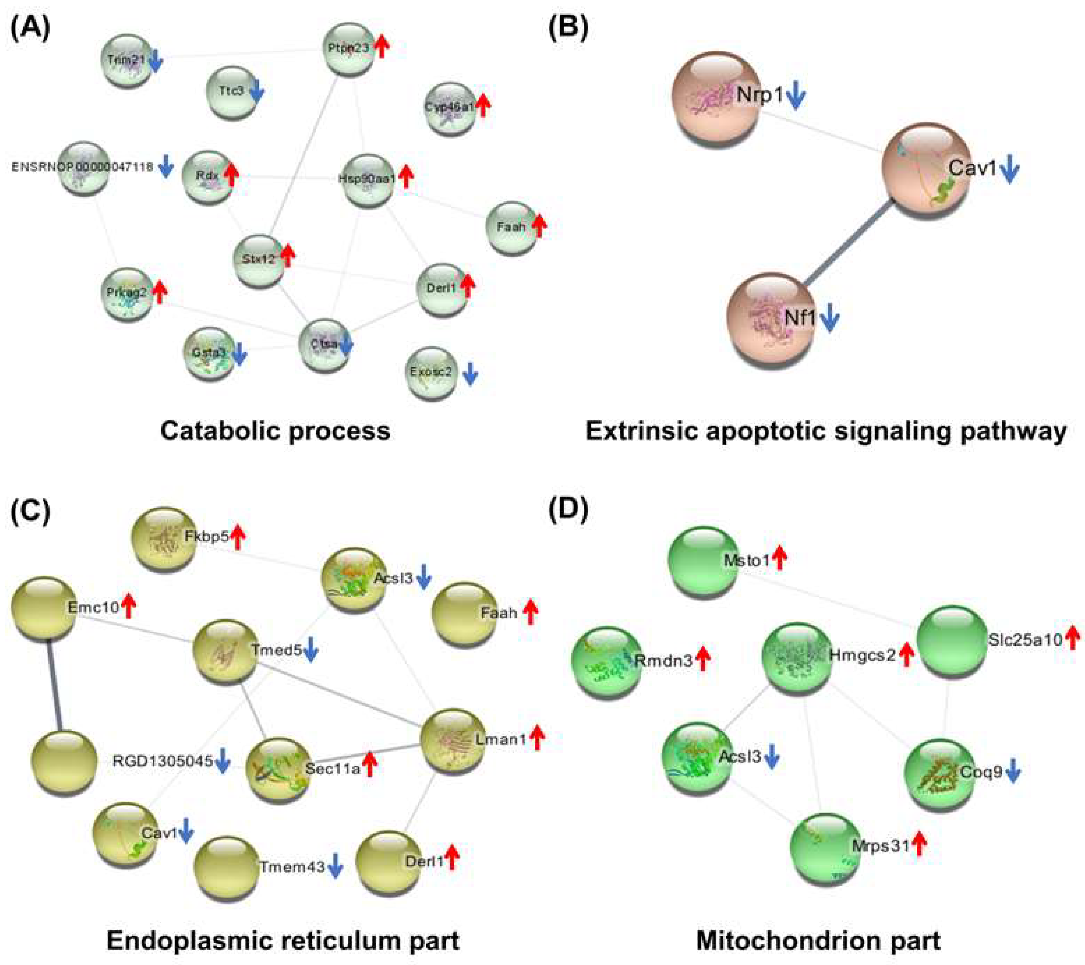 Molecules 27 01495 g006 550