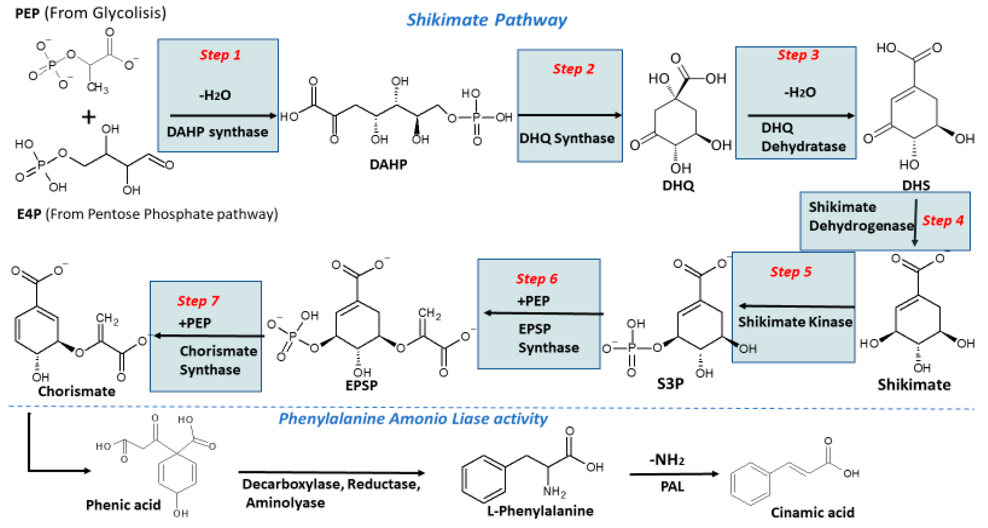 Molecules | Free Full-Text | High Hydrostatic Pressure to ...