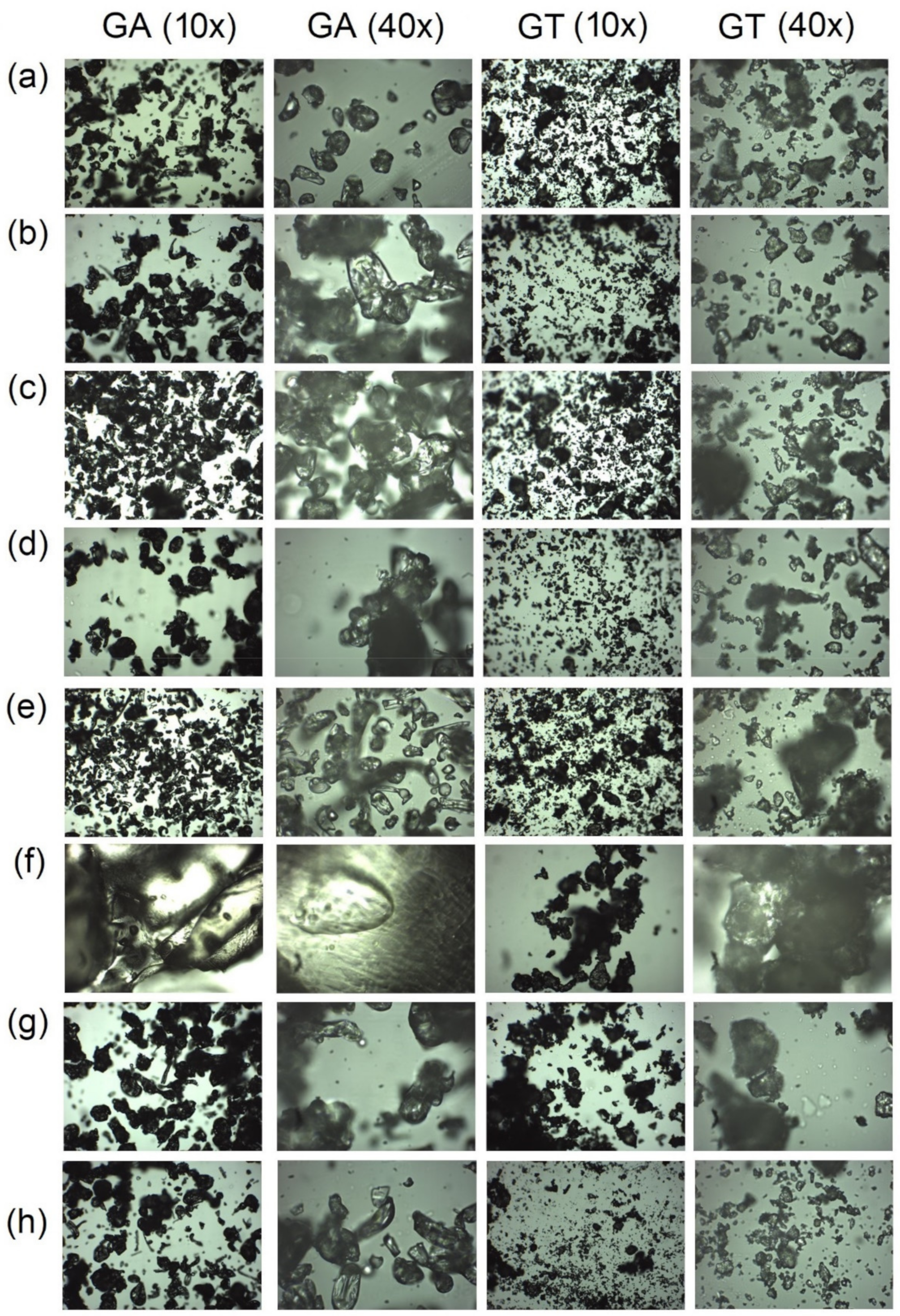 Molecules 27 01510 g006