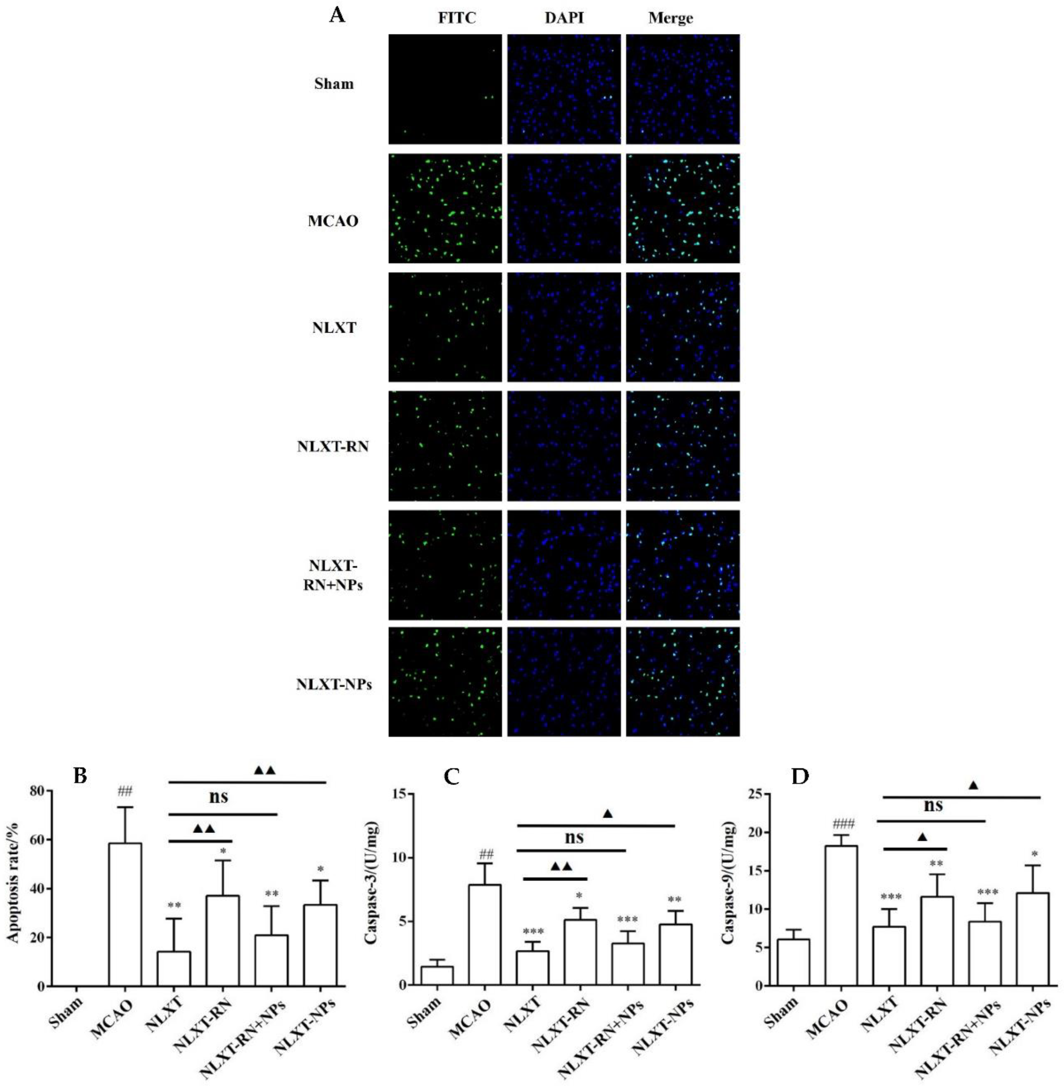 Molecules 27 01511 g005 550