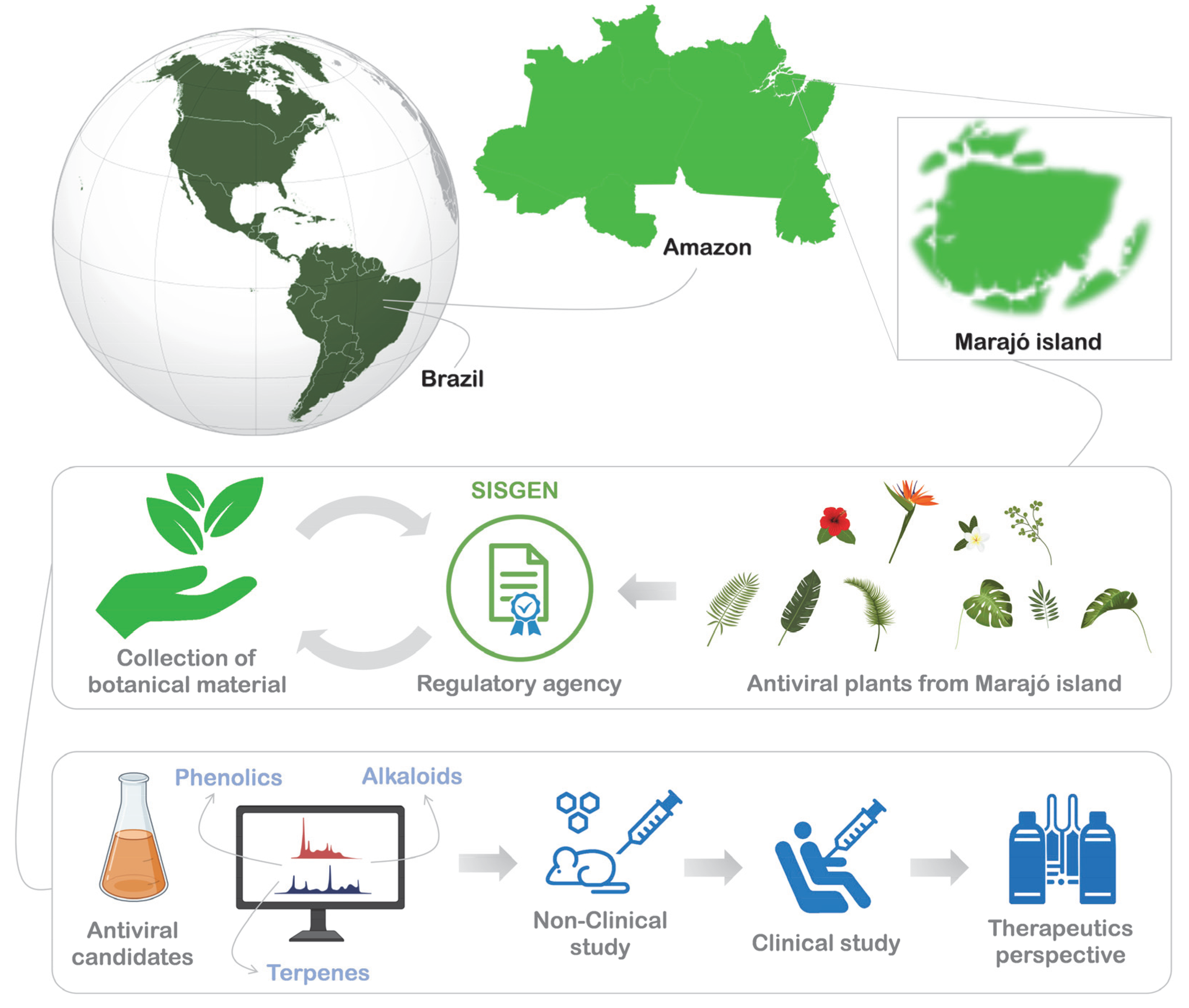 Molecules 27 01542 g003