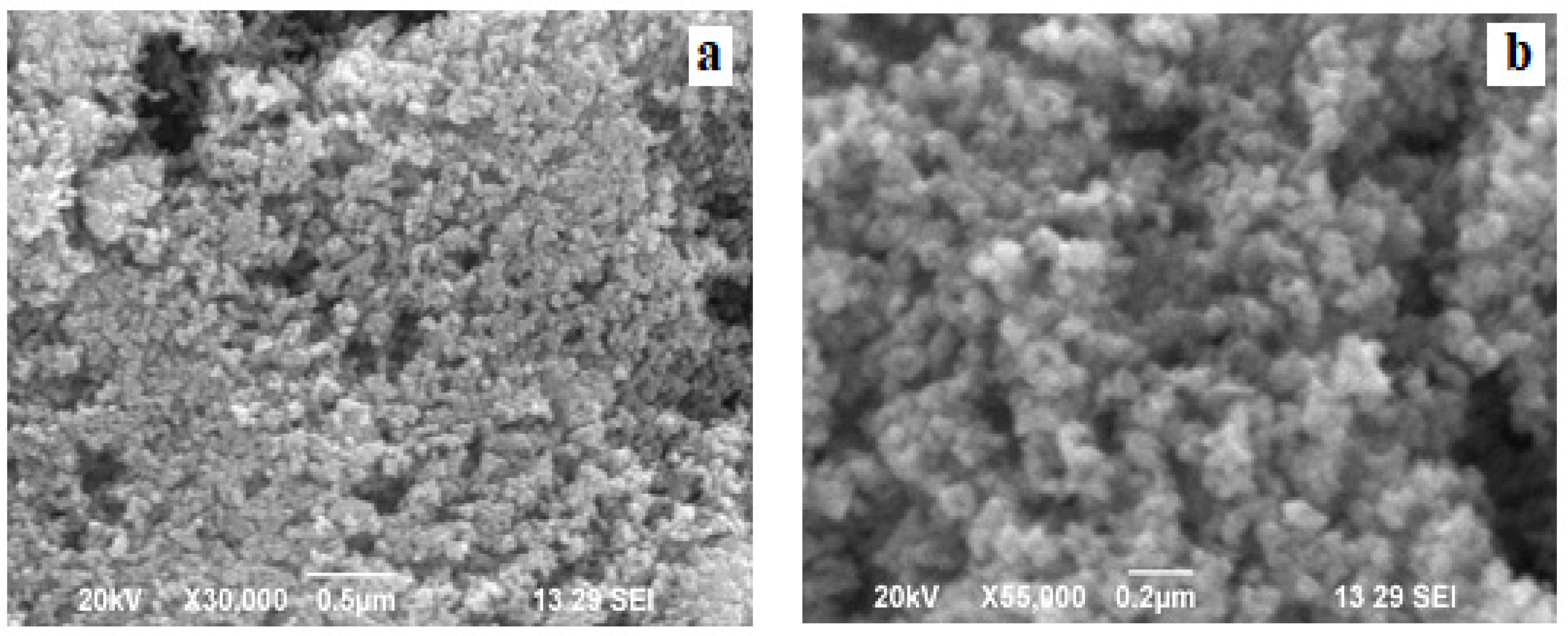 Molecules 27 01545 g004 550
