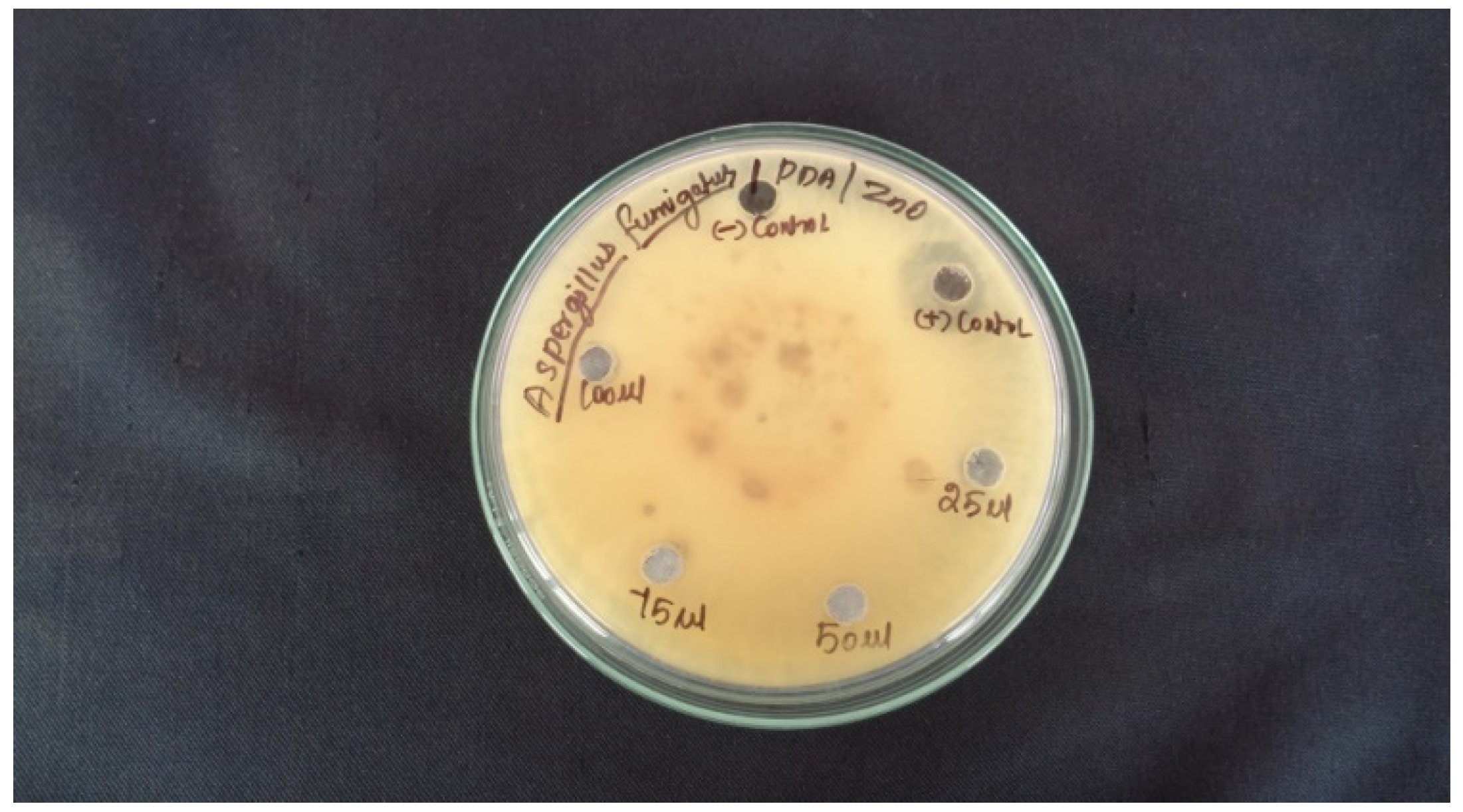 Molecules 27 01545 g007 550