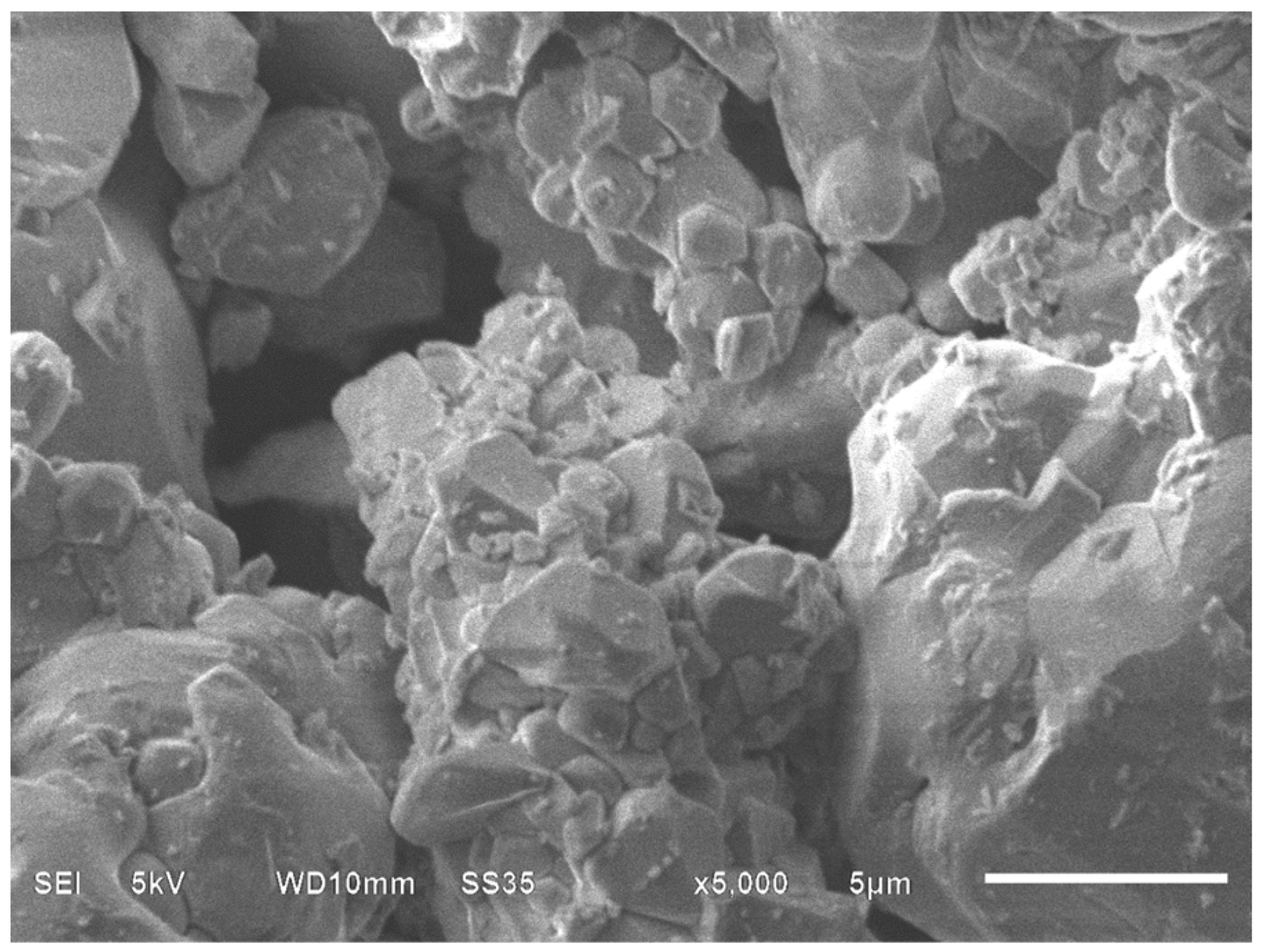 Molecules 27 01550 g003