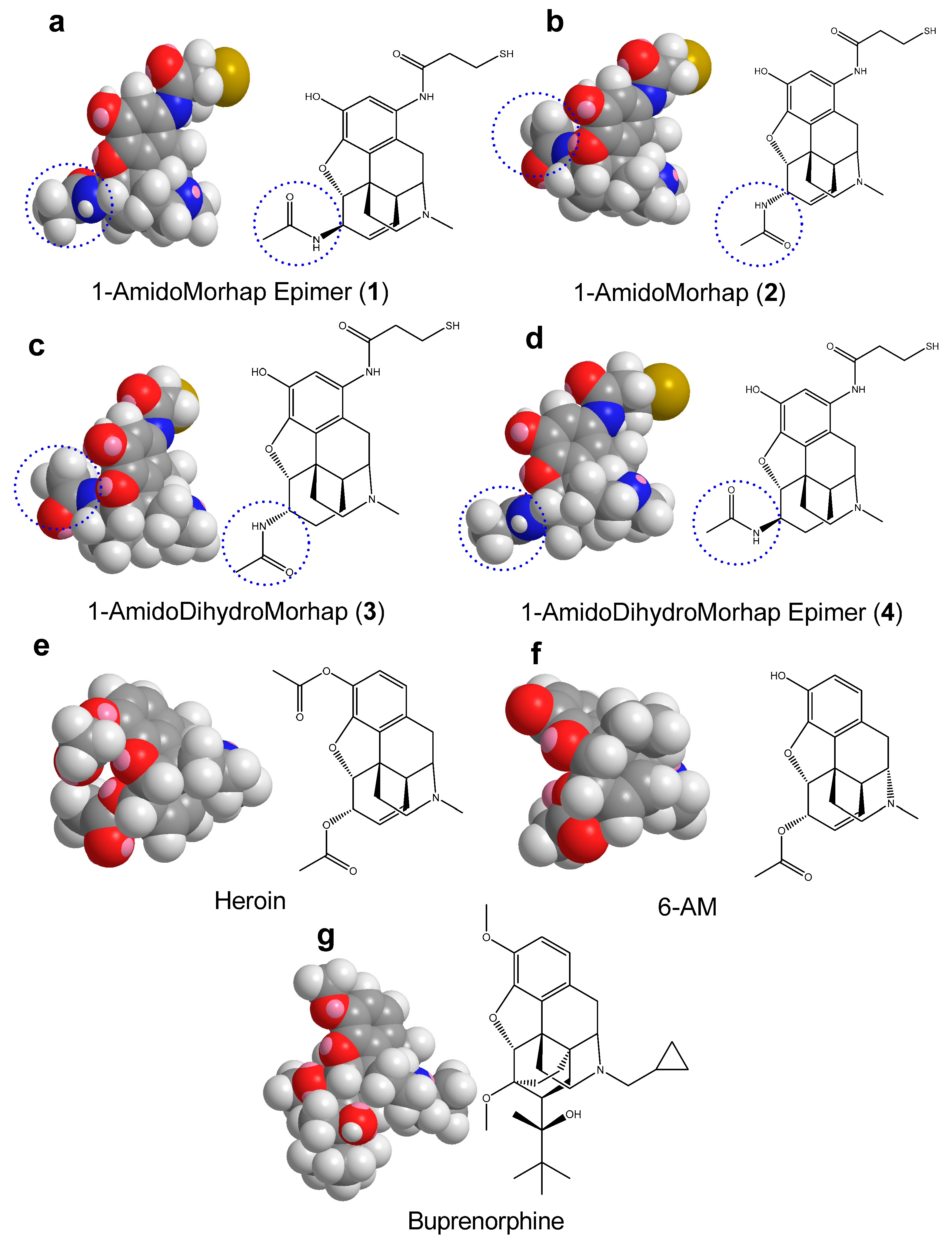 Molecules 27 01553 g006 550
