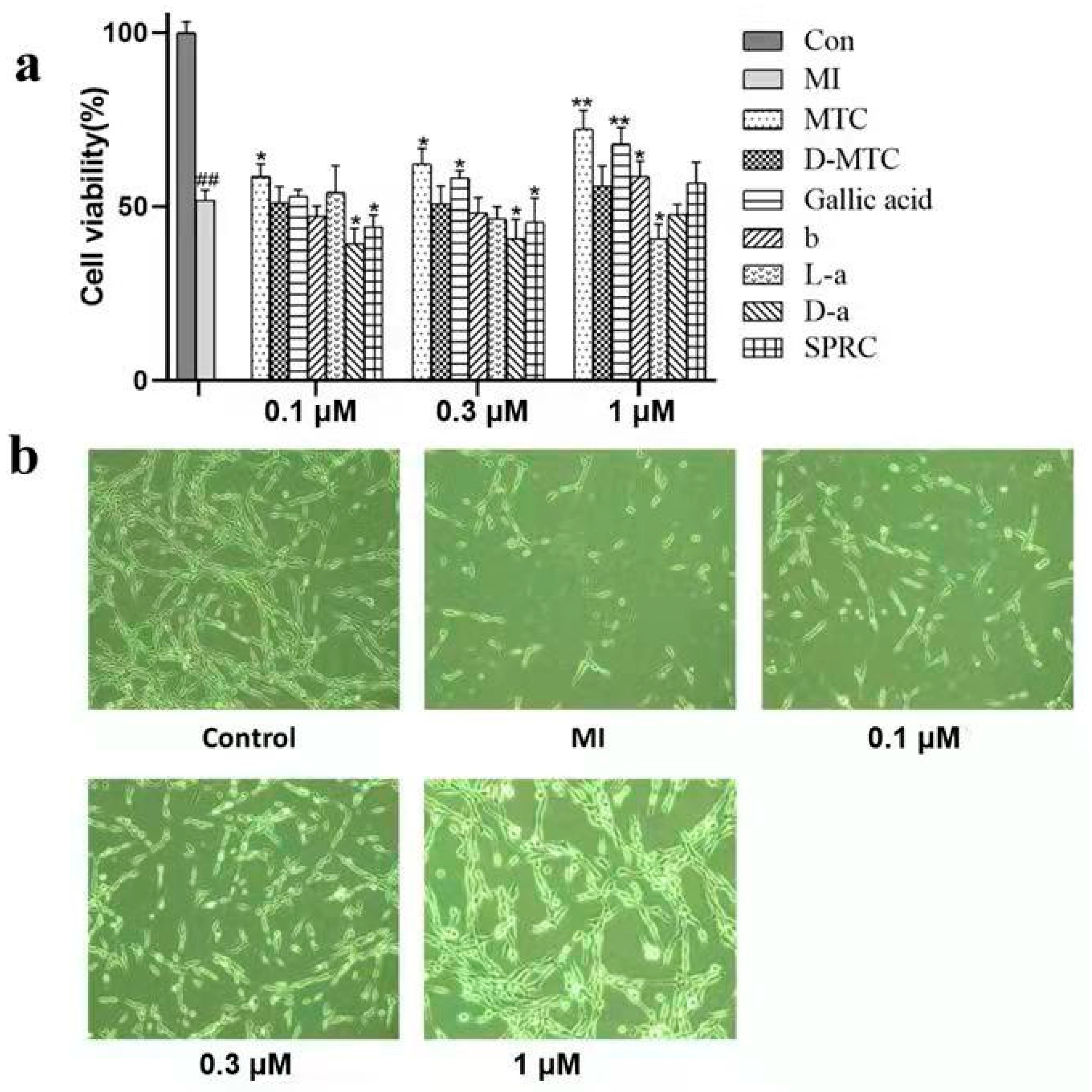 Molecules 27 01554 g001
