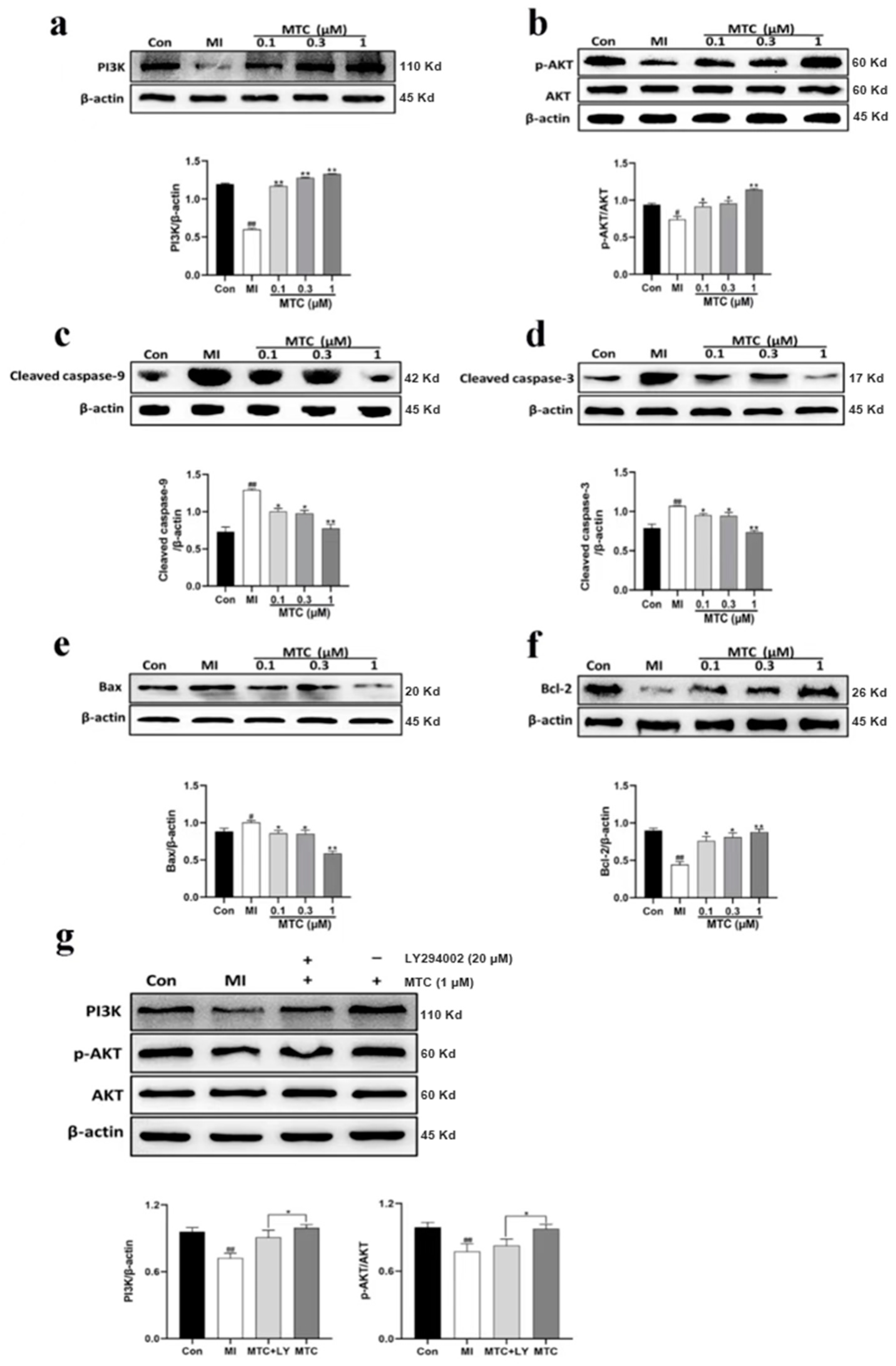 Molecules 27 01554 g004