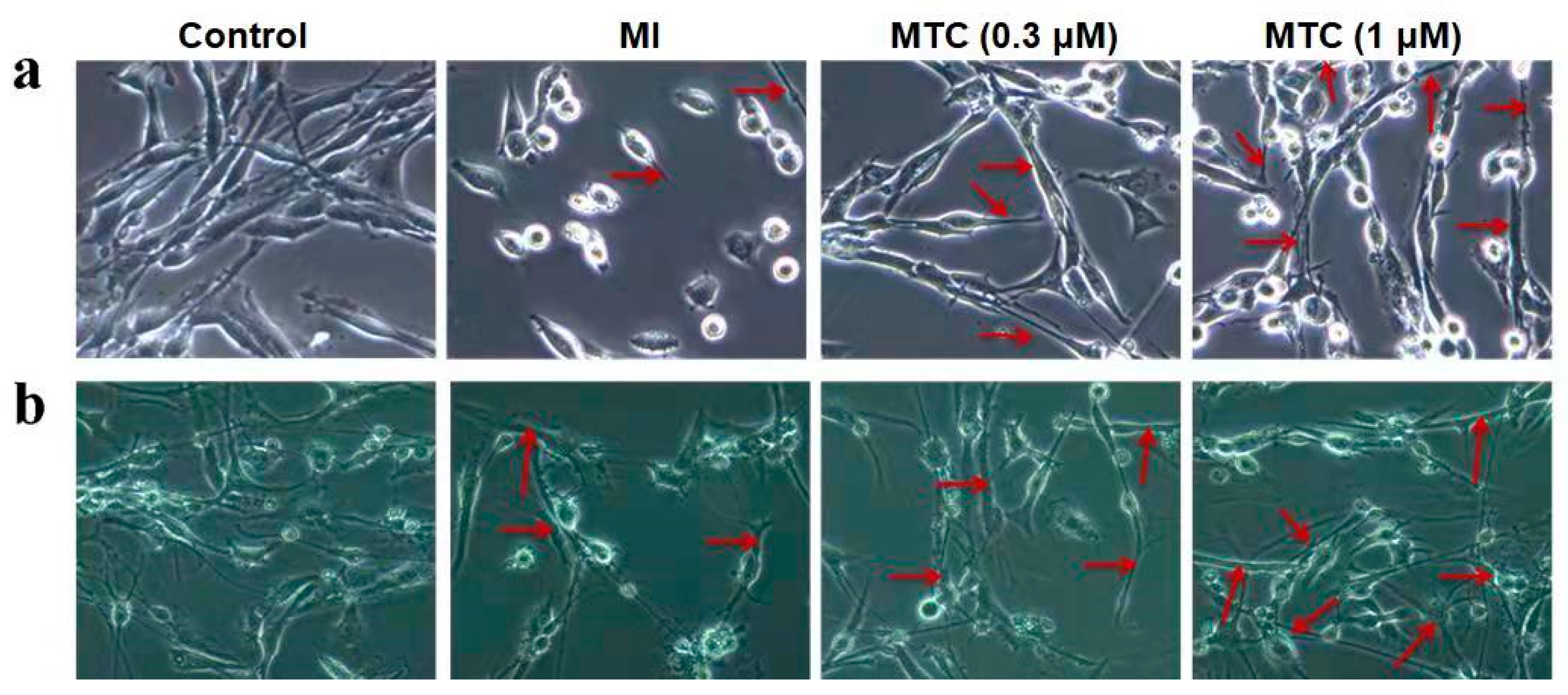 Molecules 27 01554 g006