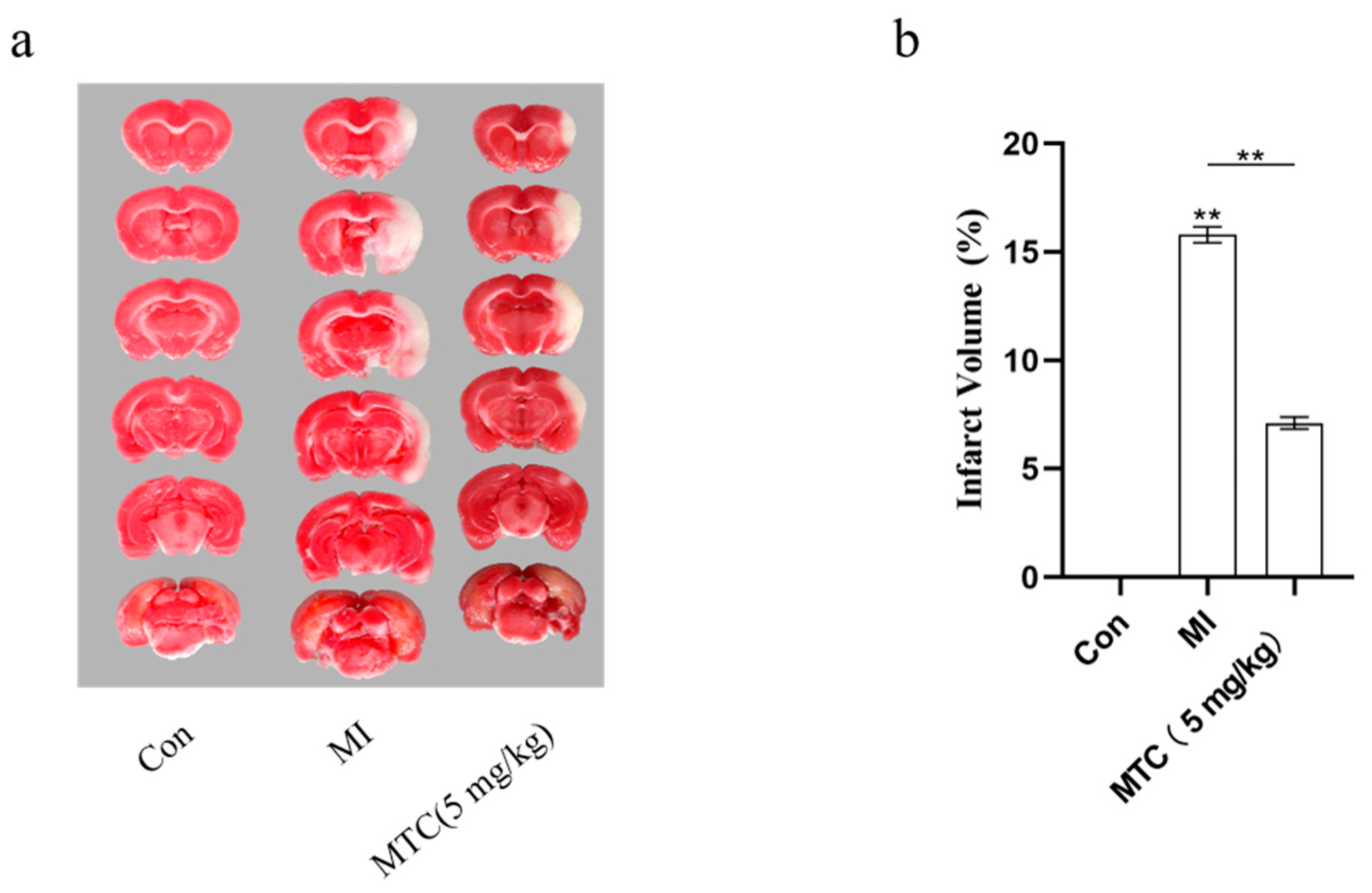 Molecules 27 01554 g008