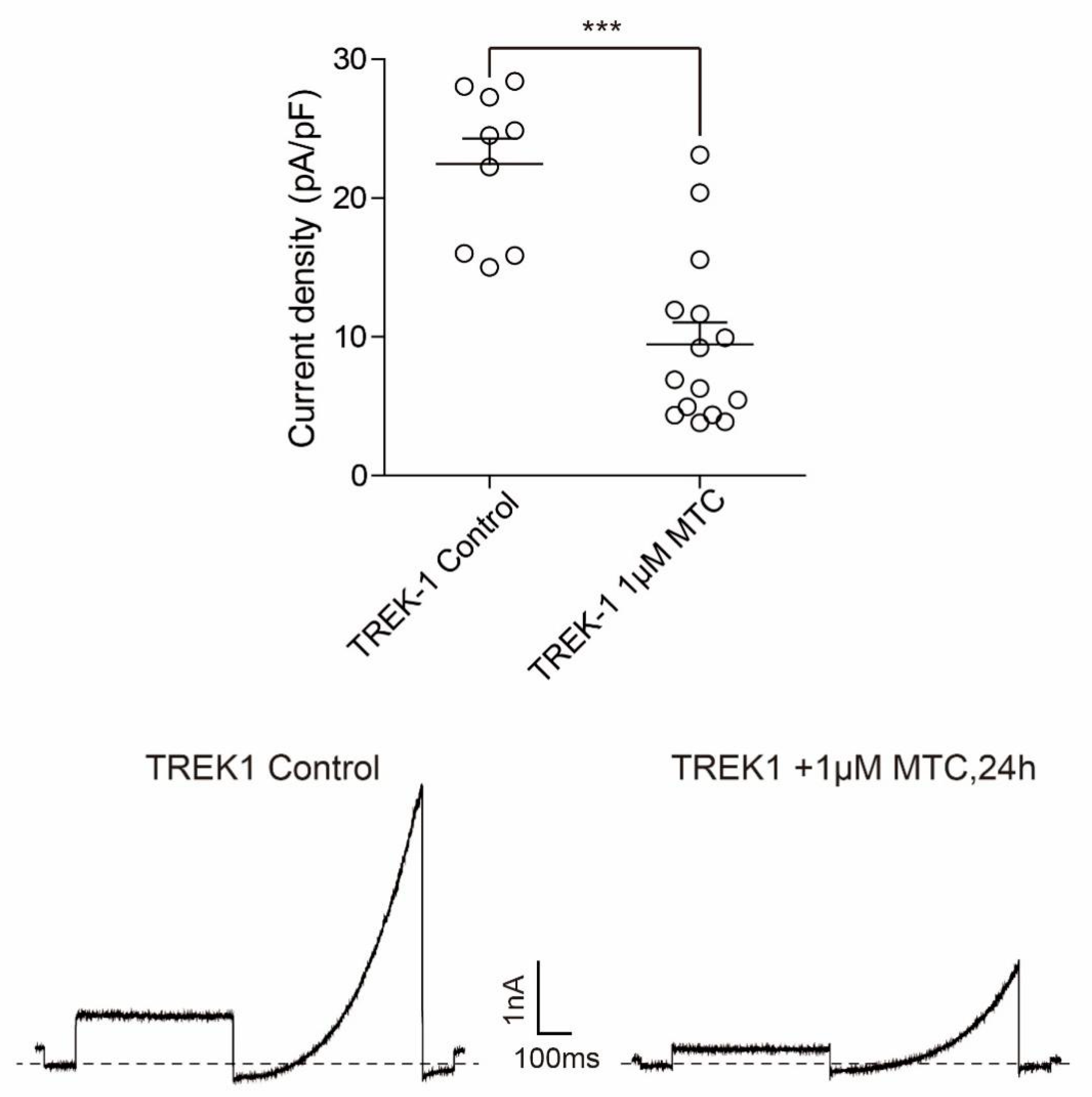 Molecules 27 01554 g010