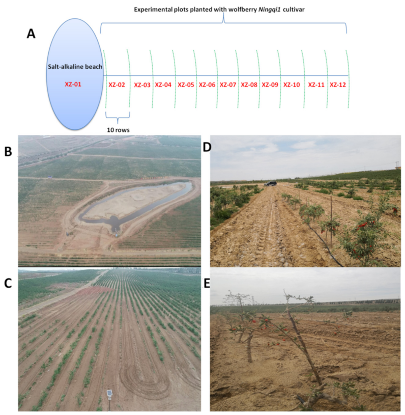 Molecules 27 01564 g001
