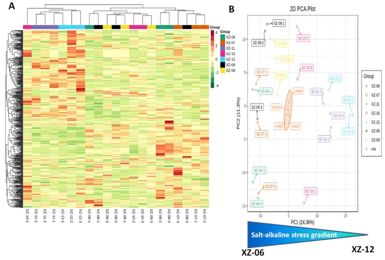 Molecules 27 01564 g003