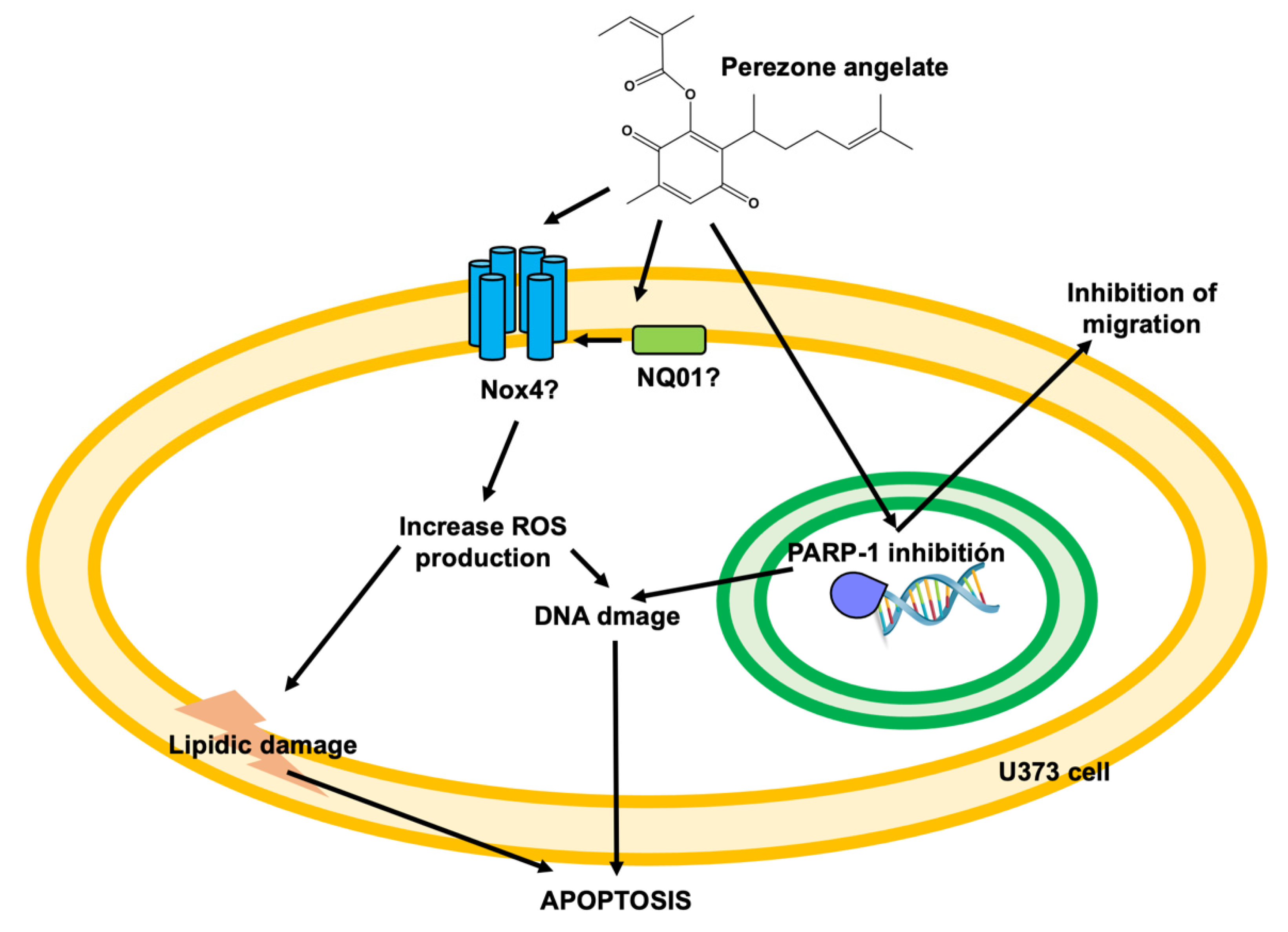 Molecules 27 01565 g008
