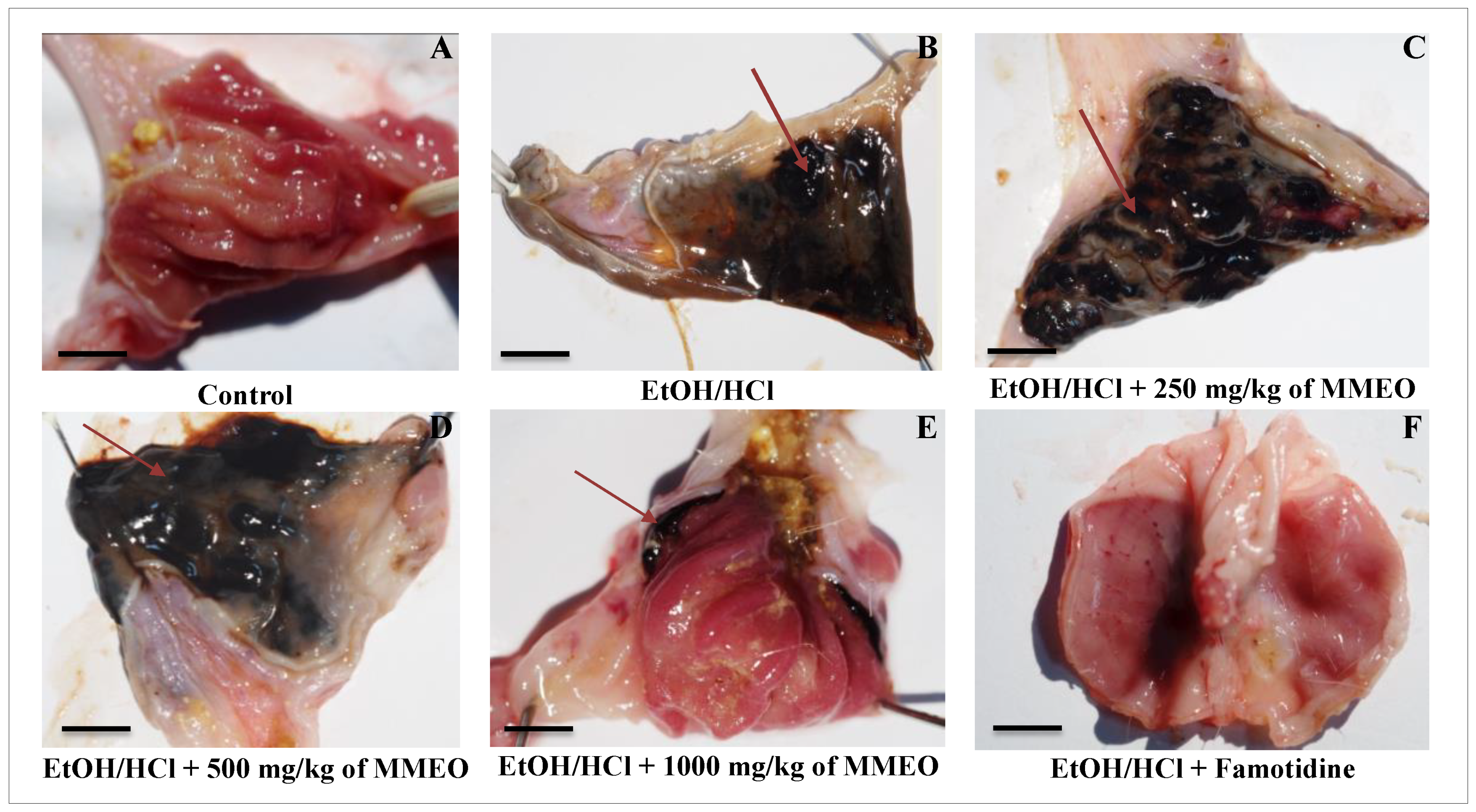 Molecules 27 01566 g002