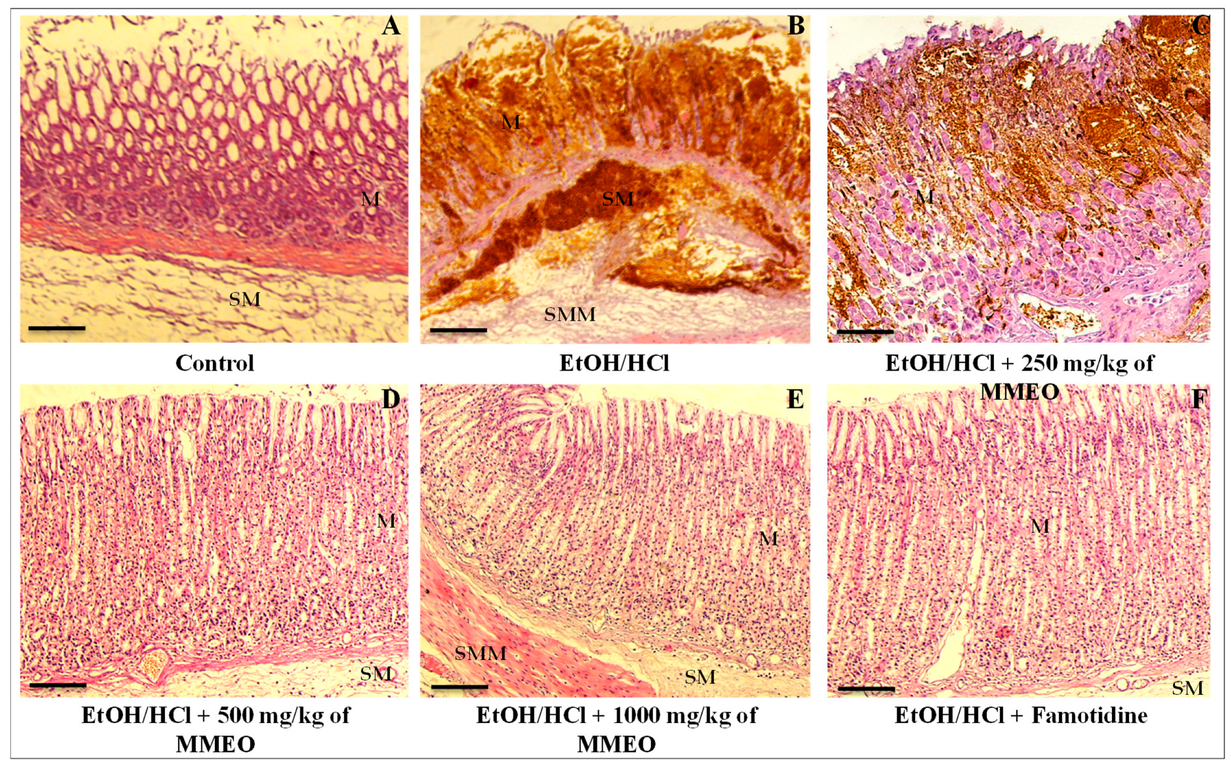 Molecules 27 01566 g003