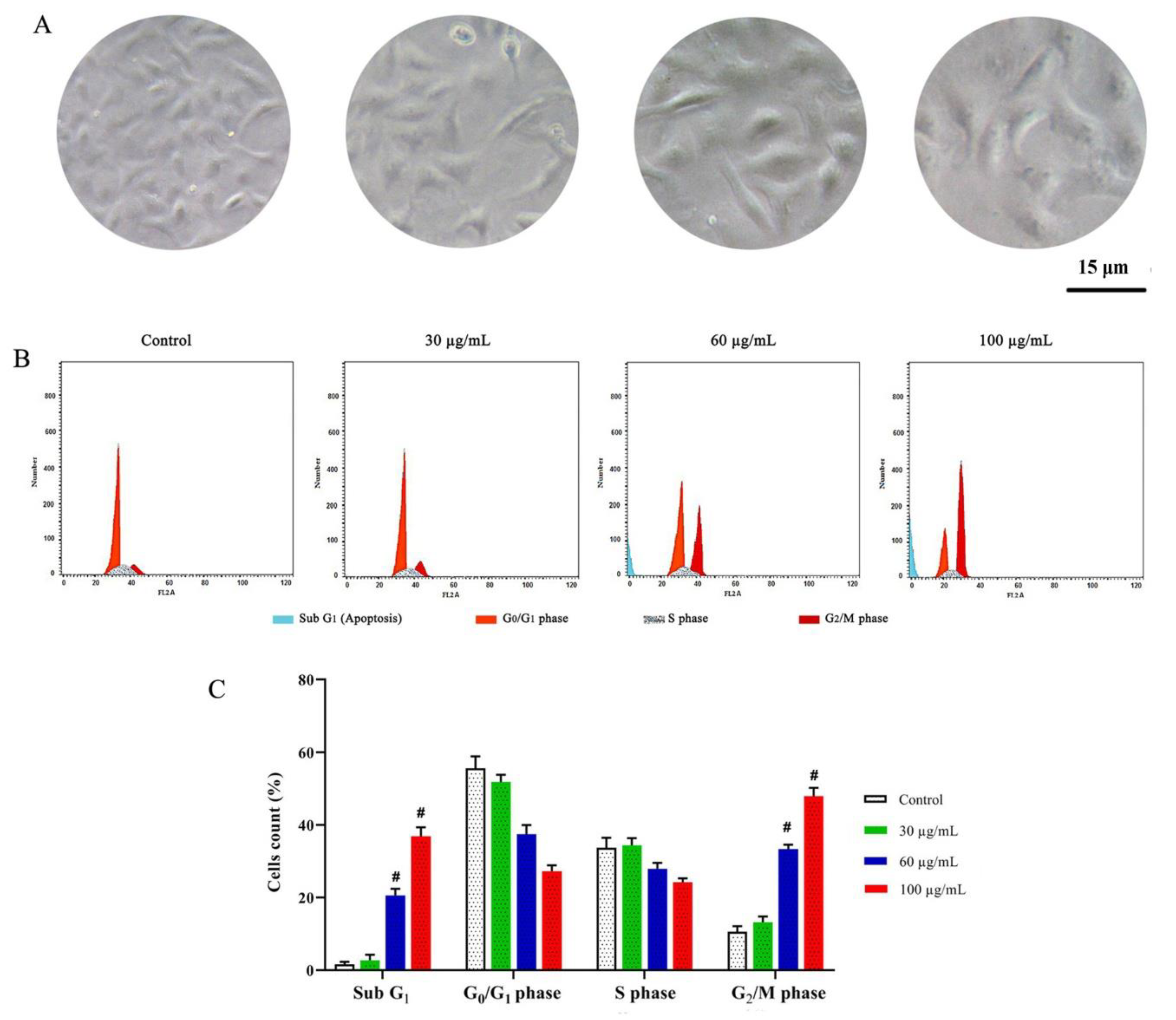 Molecules 27 01570 g003 Molecules 27 01570 g003