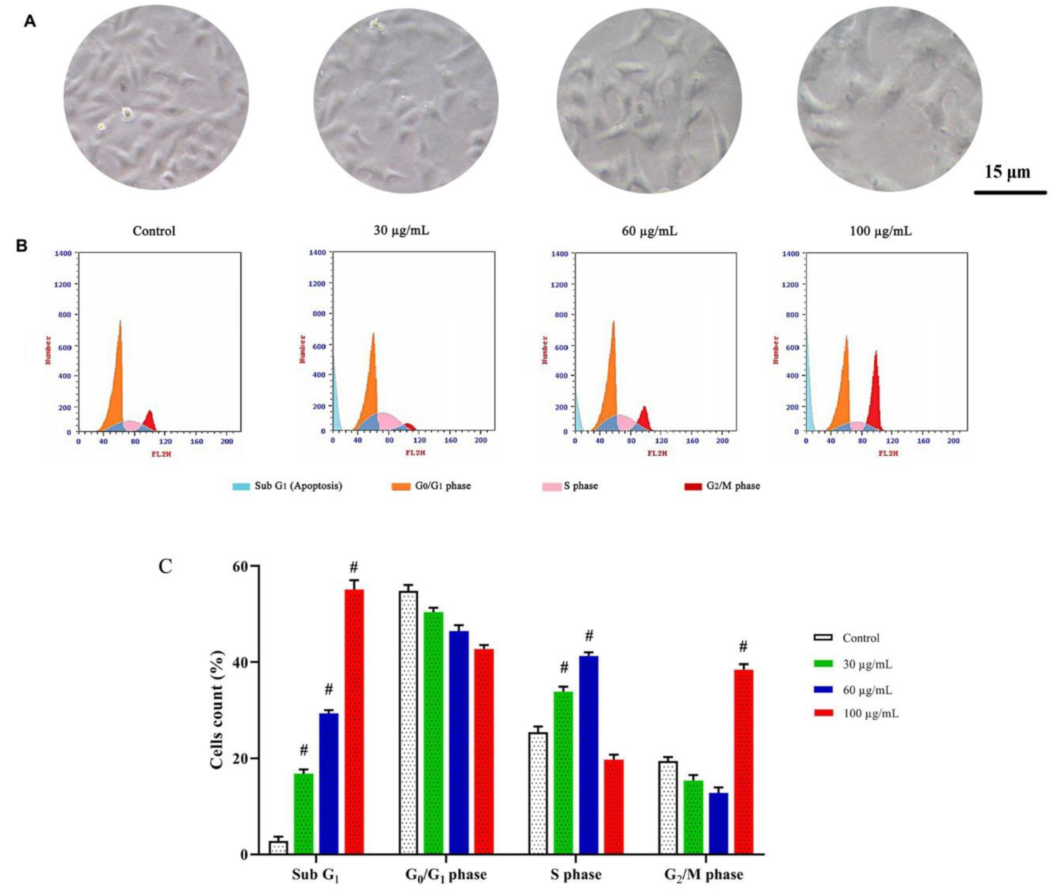 Molecules 27 01570 g004 Molecules 27 01570 g004