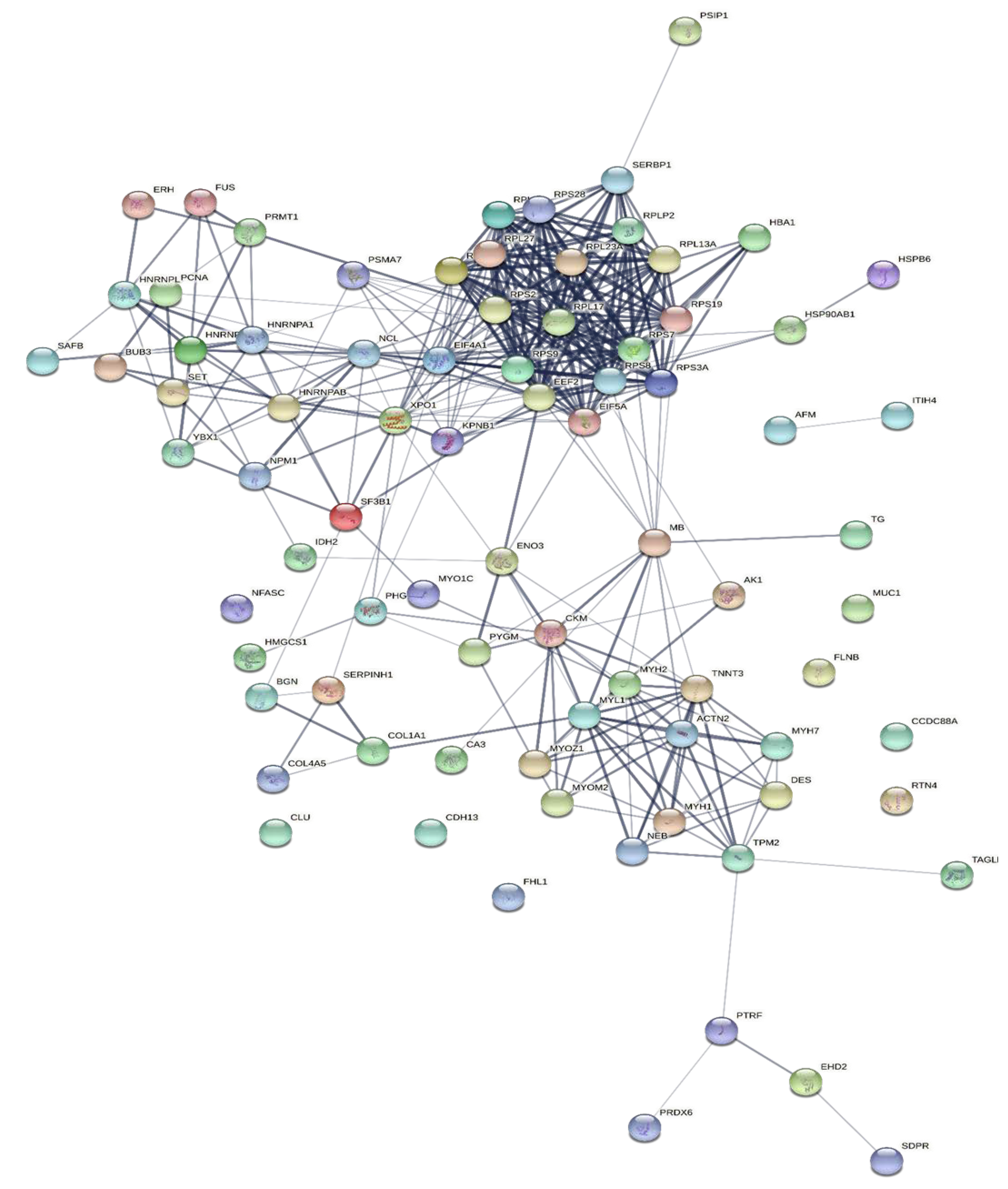 Molecules 27 01575 g006 550