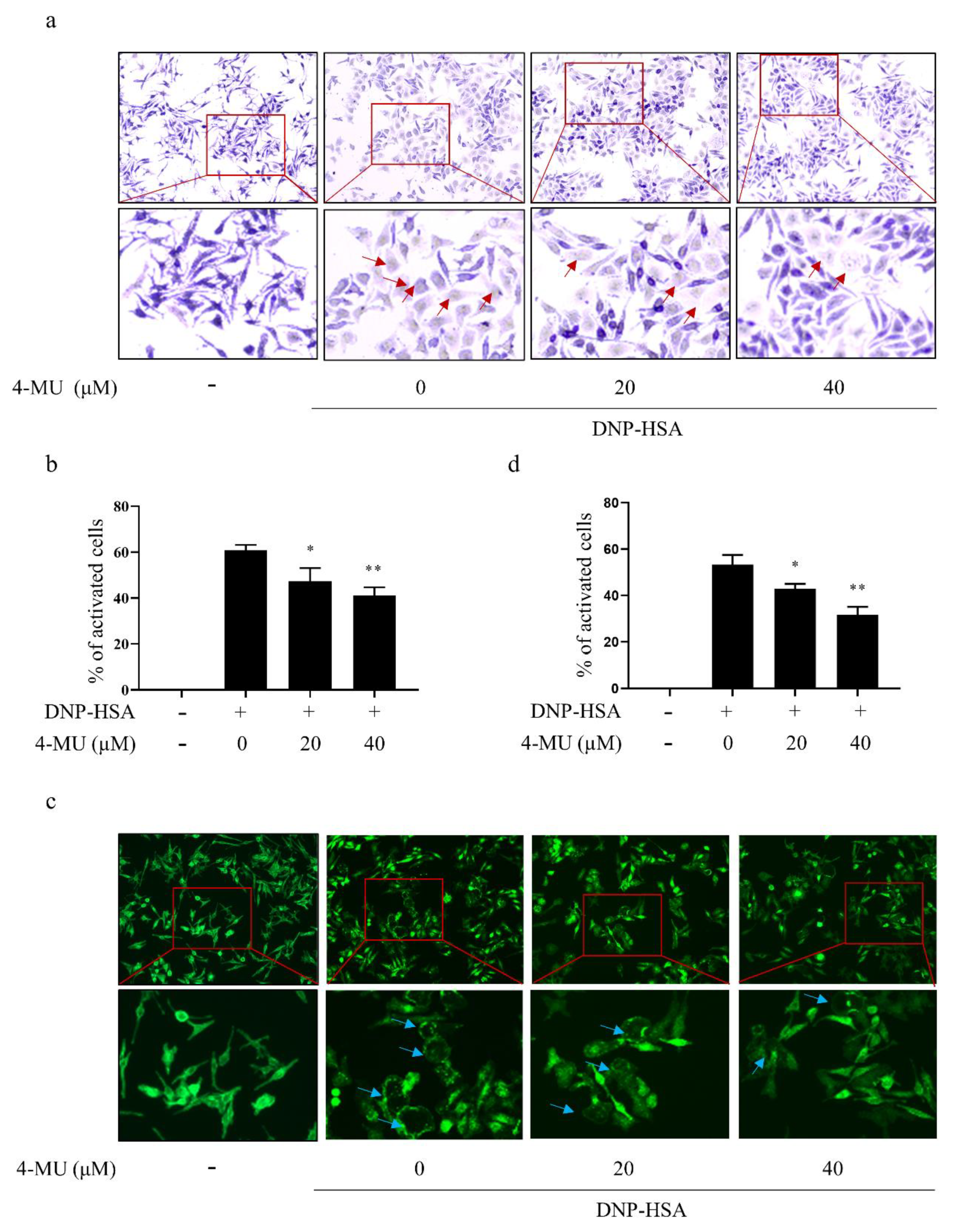 Molecules 27 01577 g002 550