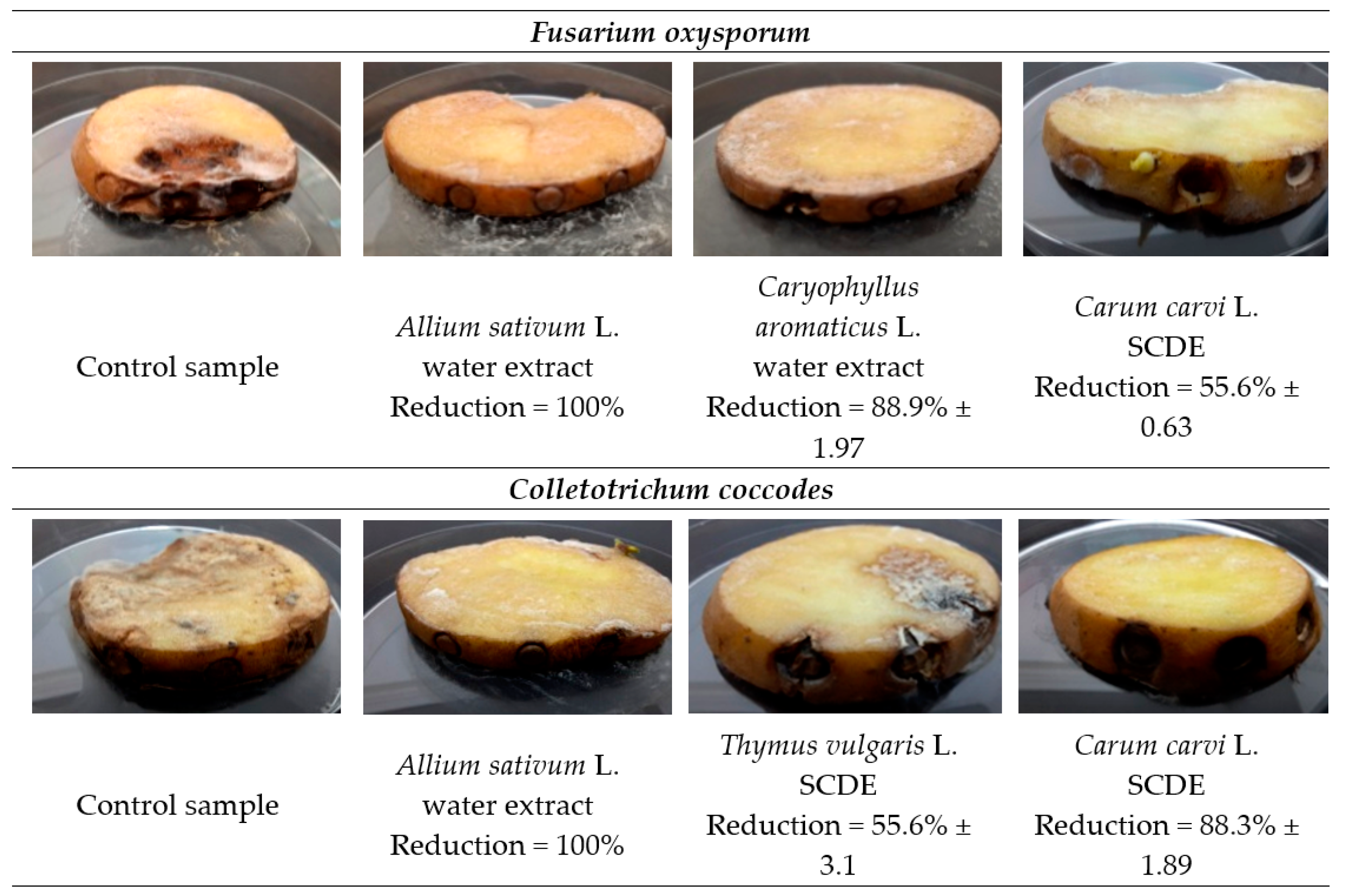 Molecules 27 01579 g004 550
