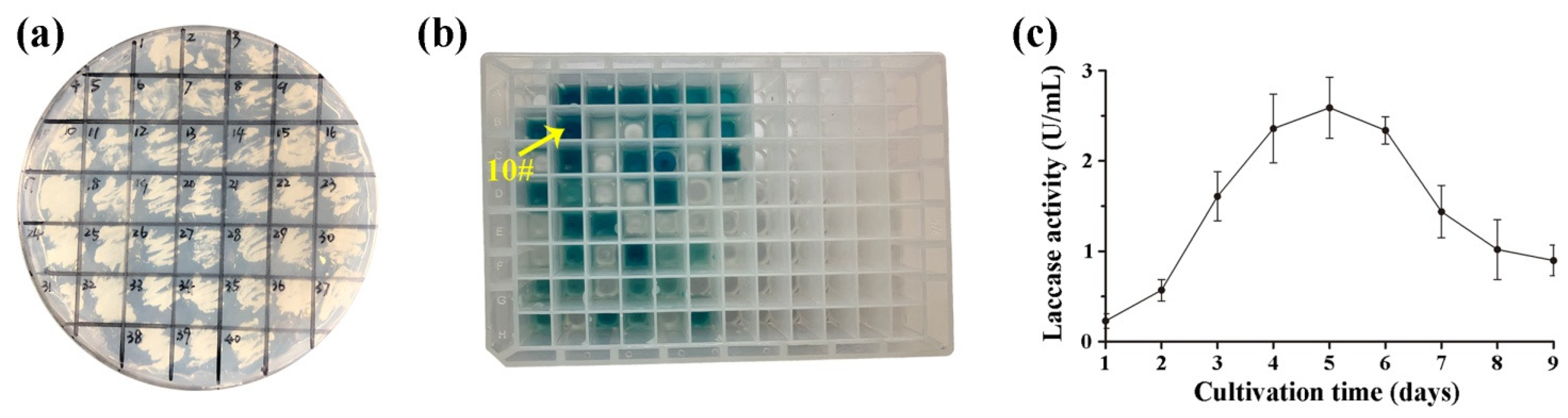 Molecules 27 01581 g001