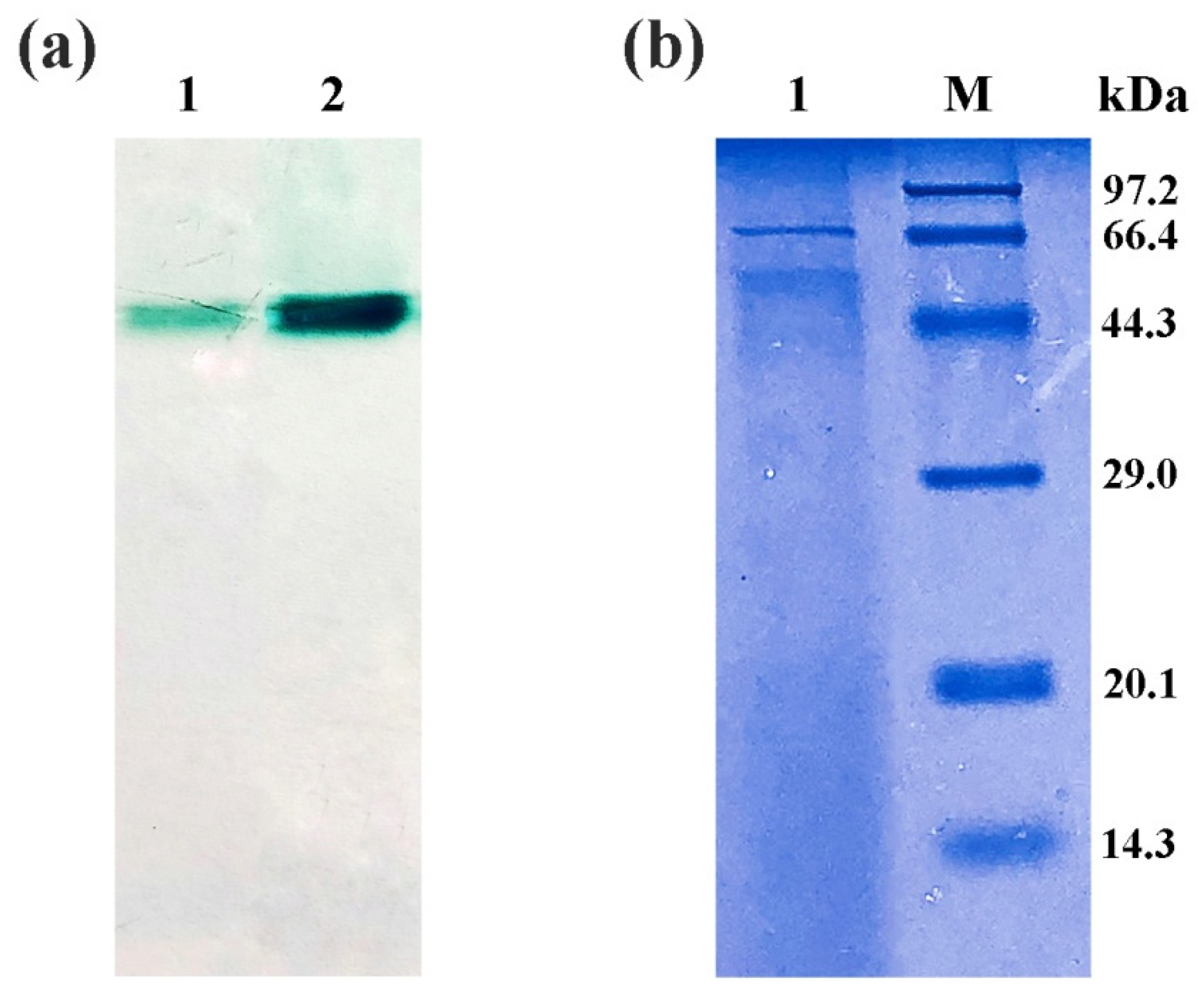 Molecules 27 01581 g002