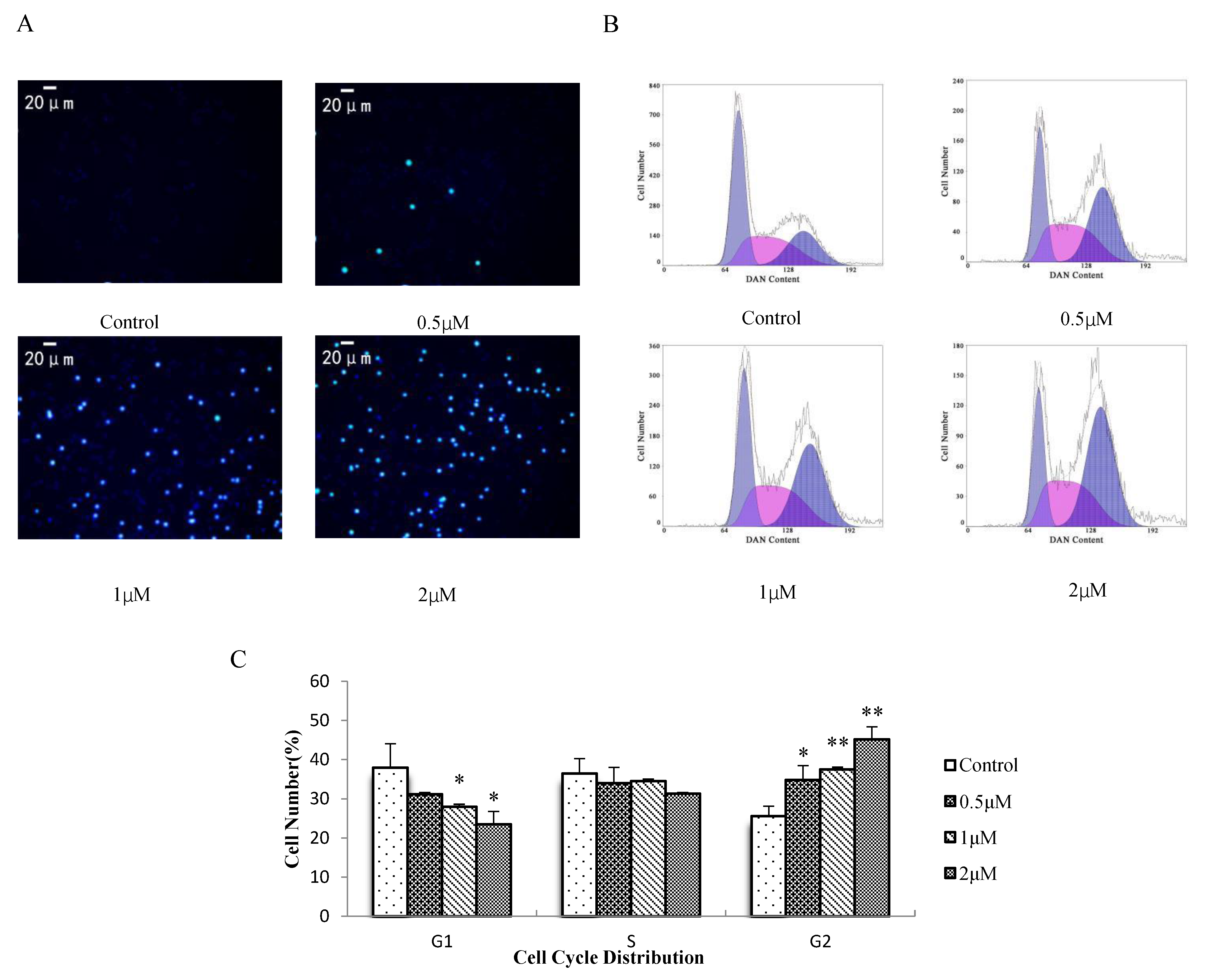 Molecules 27 01582 g004