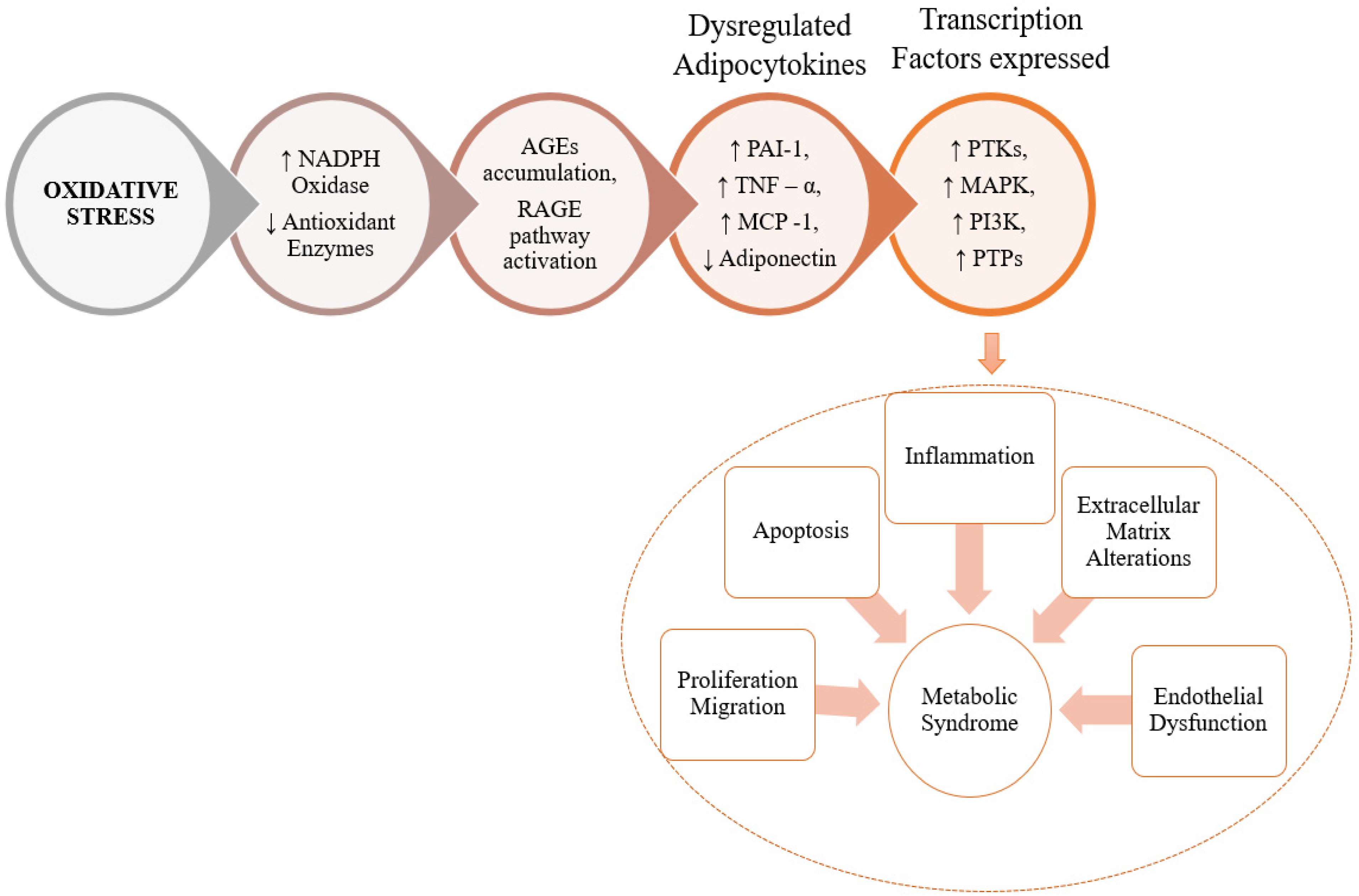 Molecules 27 01583 g004 Molecules 27 01583 g004