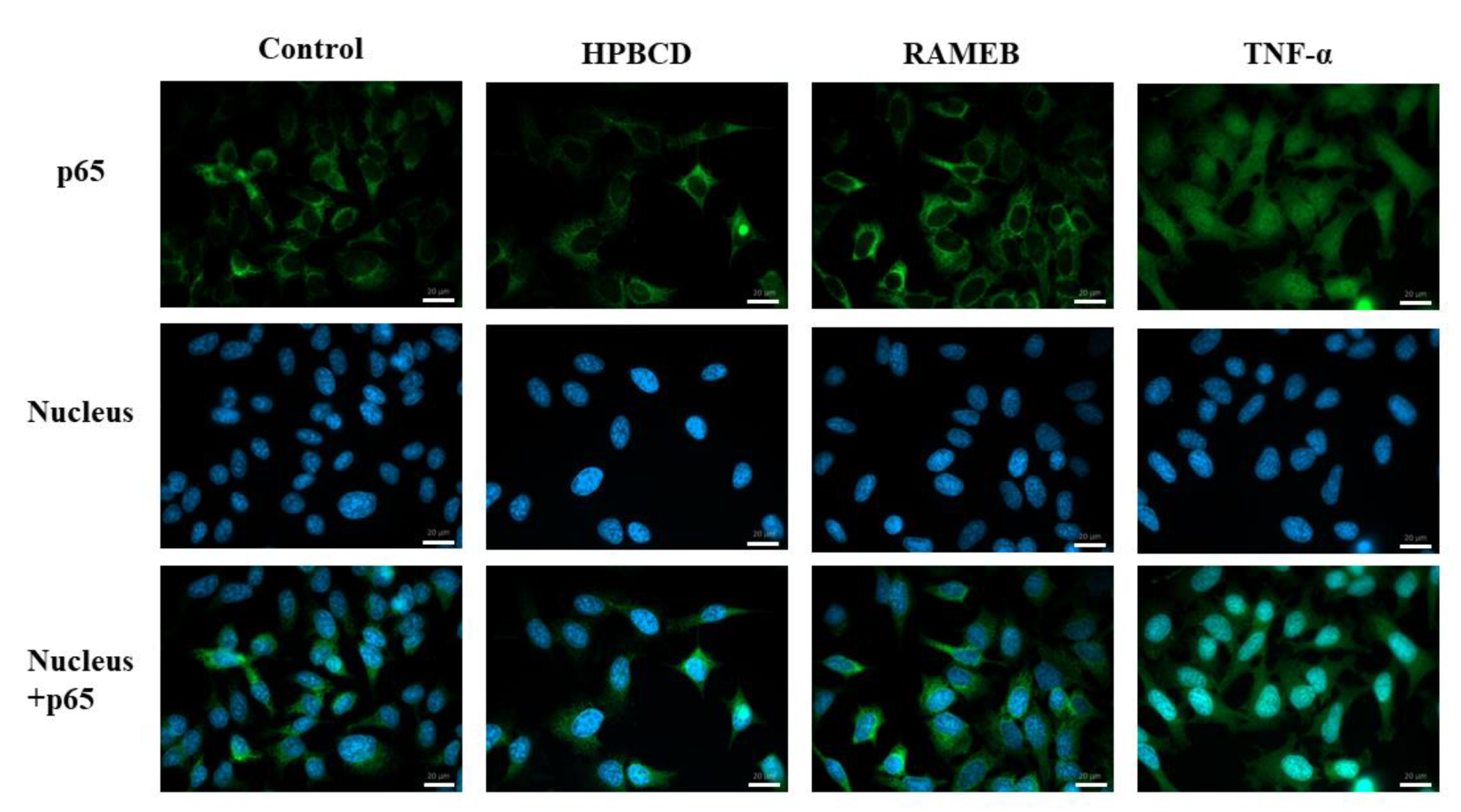 Molecules 27 01589 g003