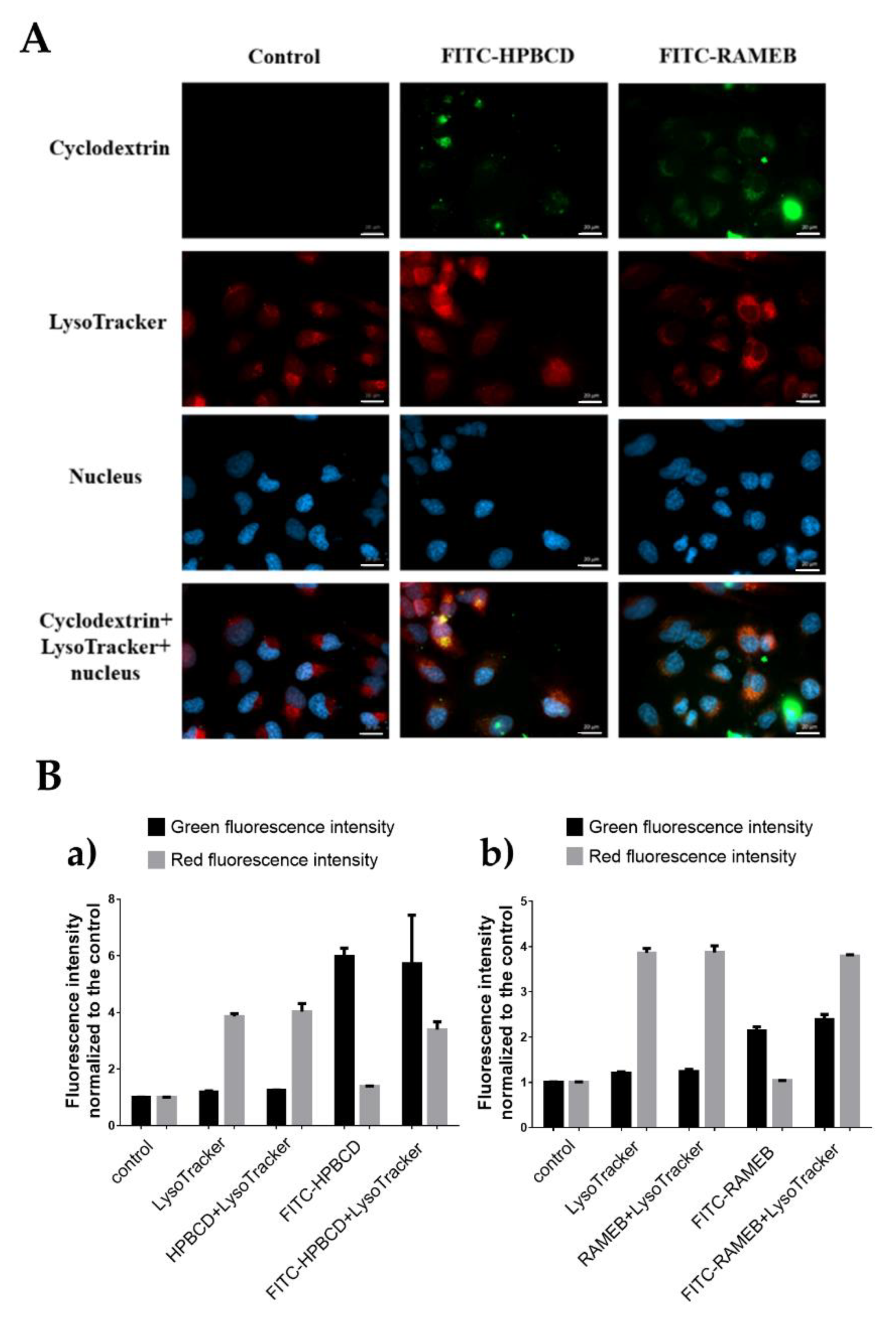 Molecules 27 01589 g005