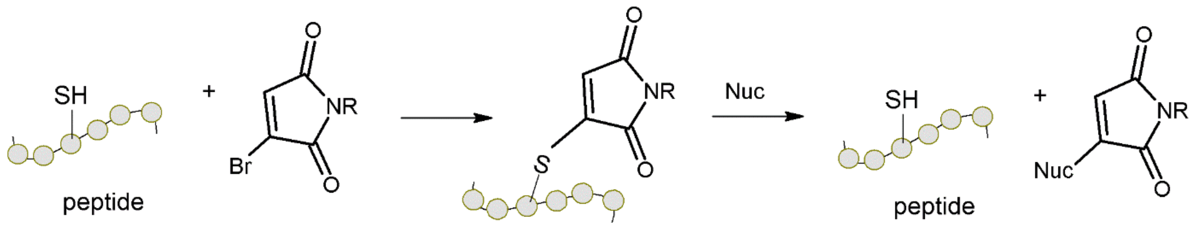 Molecules 27 01601 g003 Molecules 27 01601 g003