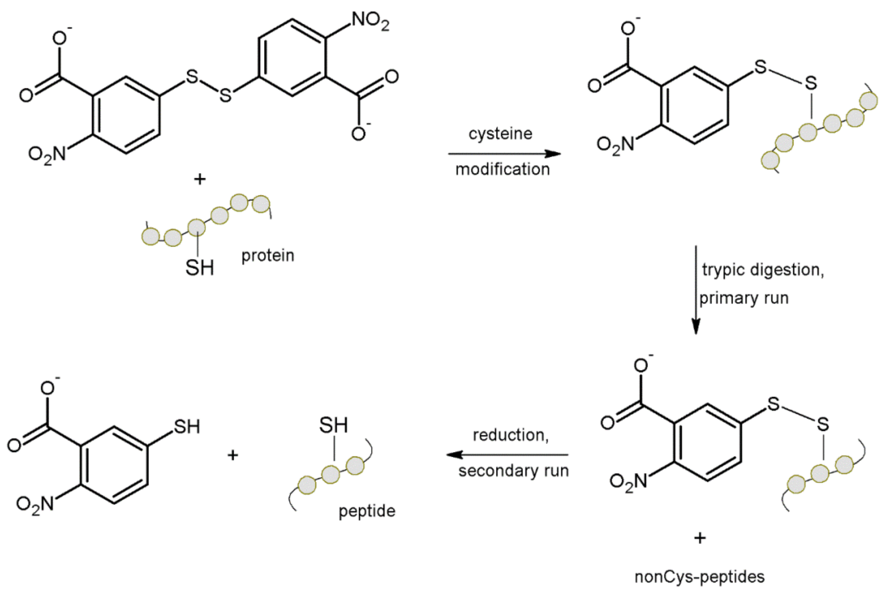 Molecules 27 01601 g005 Molecules 27 01601 g005