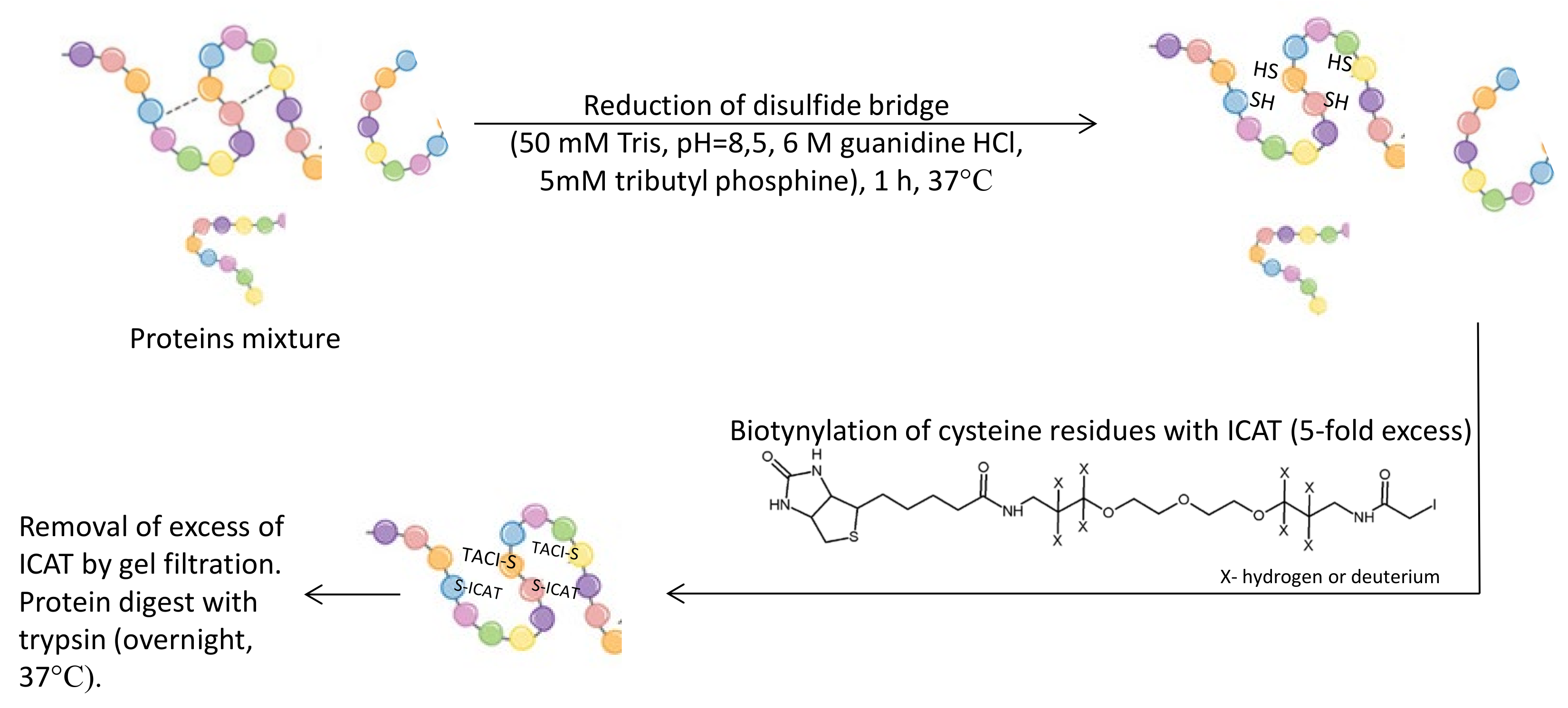 Molecules 27 01601 g010 Molecules 27 01601 g010