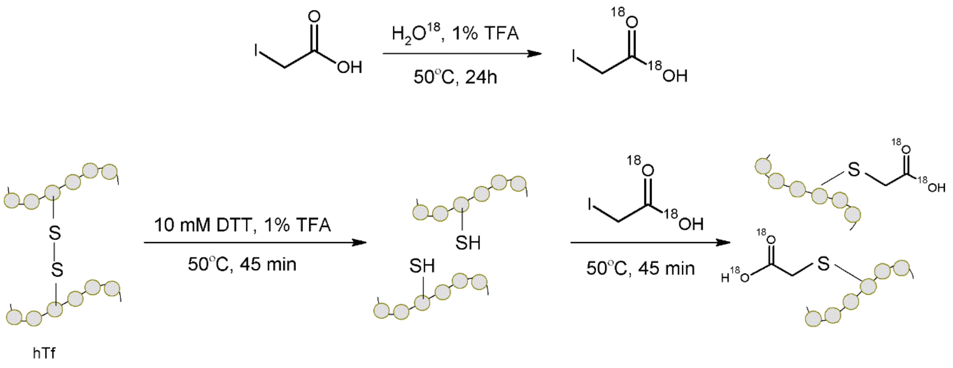 Molecules 27 01601 g012 Molecules 27 01601 g012