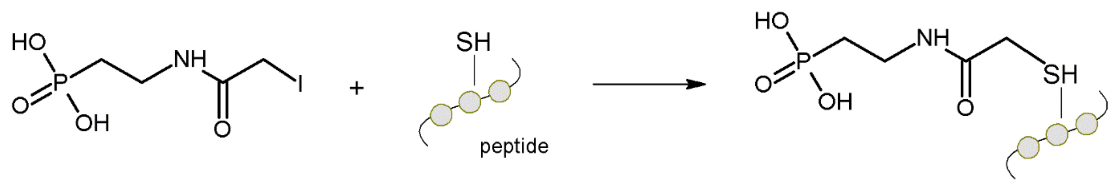 Molecules 27 01601 g013 Molecules 27 01601 g013