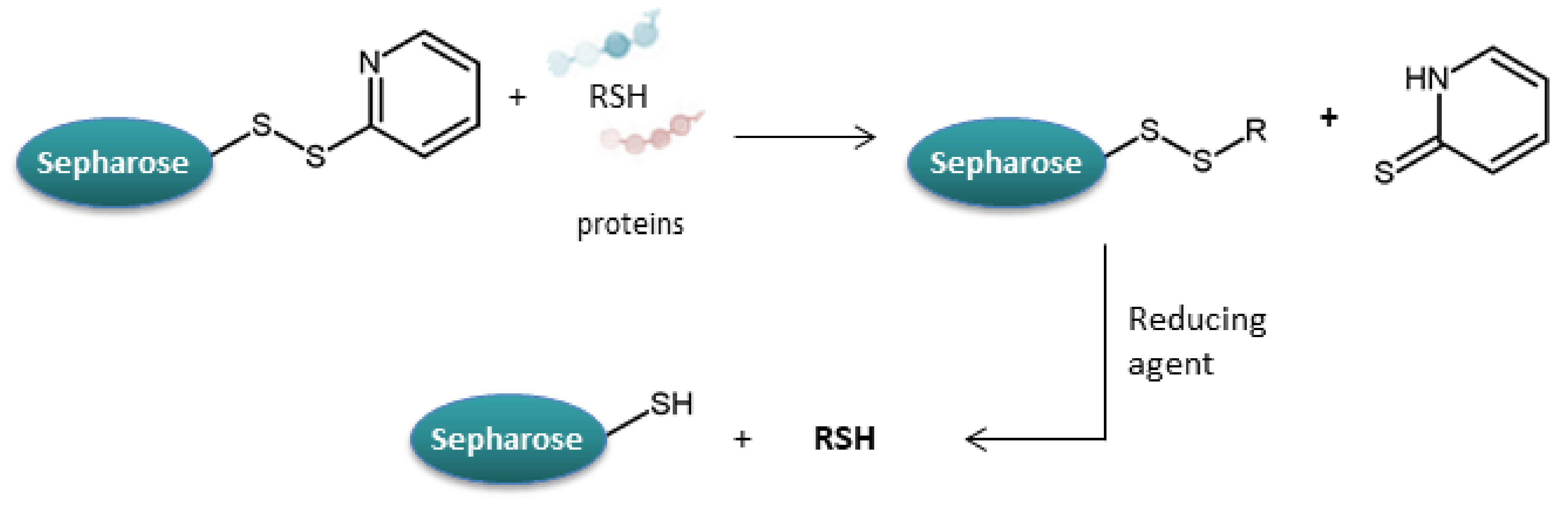 Molecules 27 01601 g015 Molecules 27 01601 g015