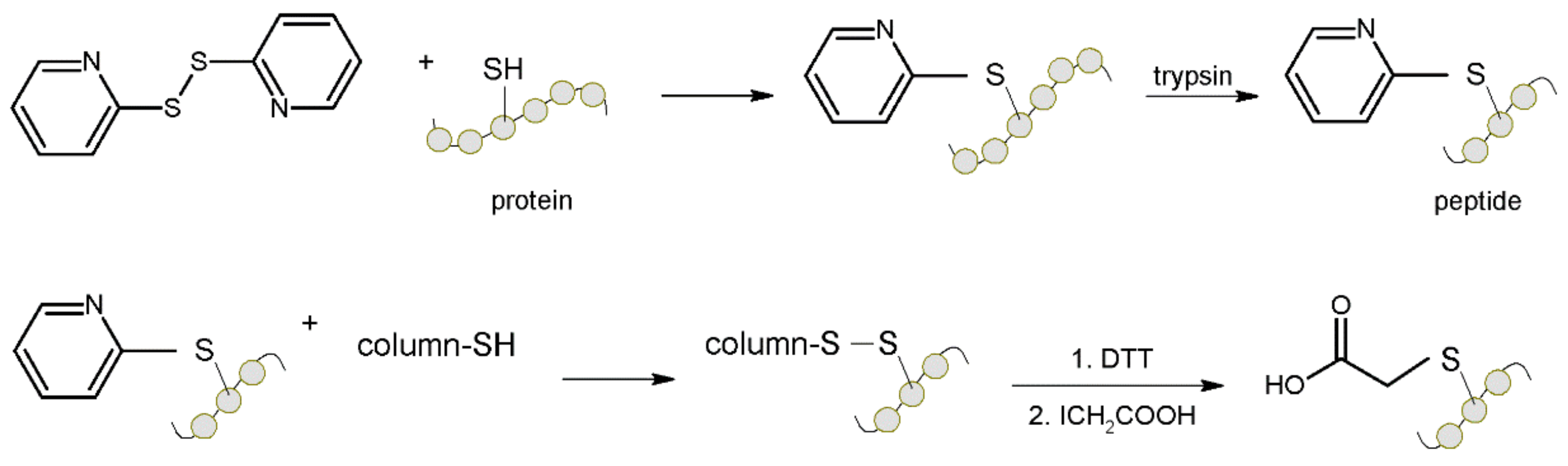 Molecules 27 01601 g016 Molecules 27 01601 g016