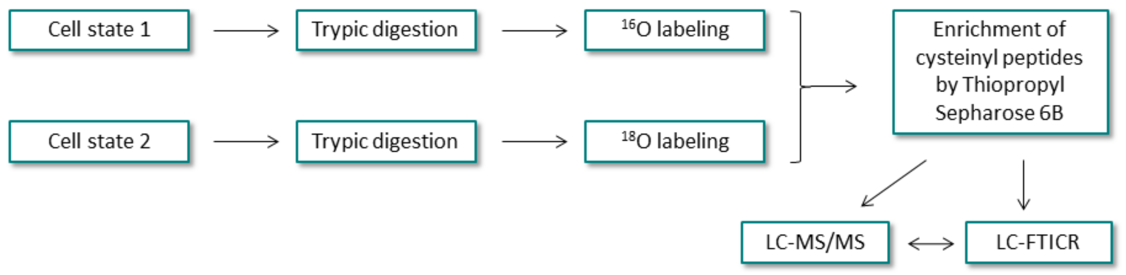 Molecules 27 01601 g017 Molecules 27 01601 g017
