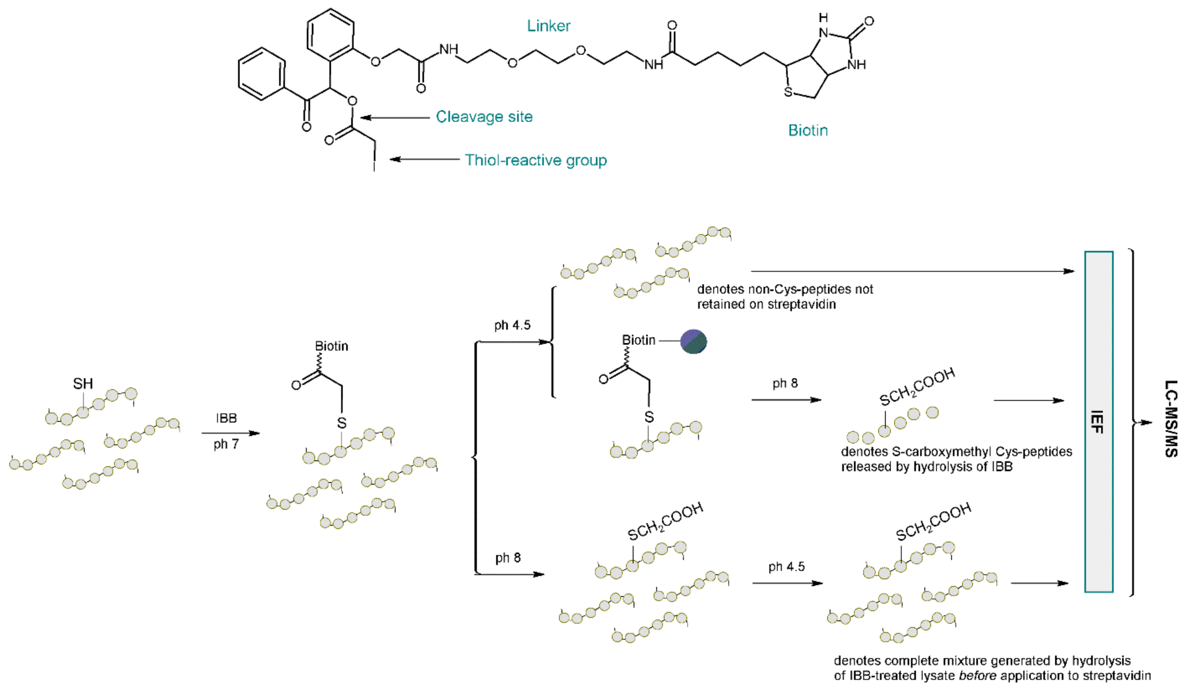 Molecules 27 01601 g018 Molecules 27 01601 g018