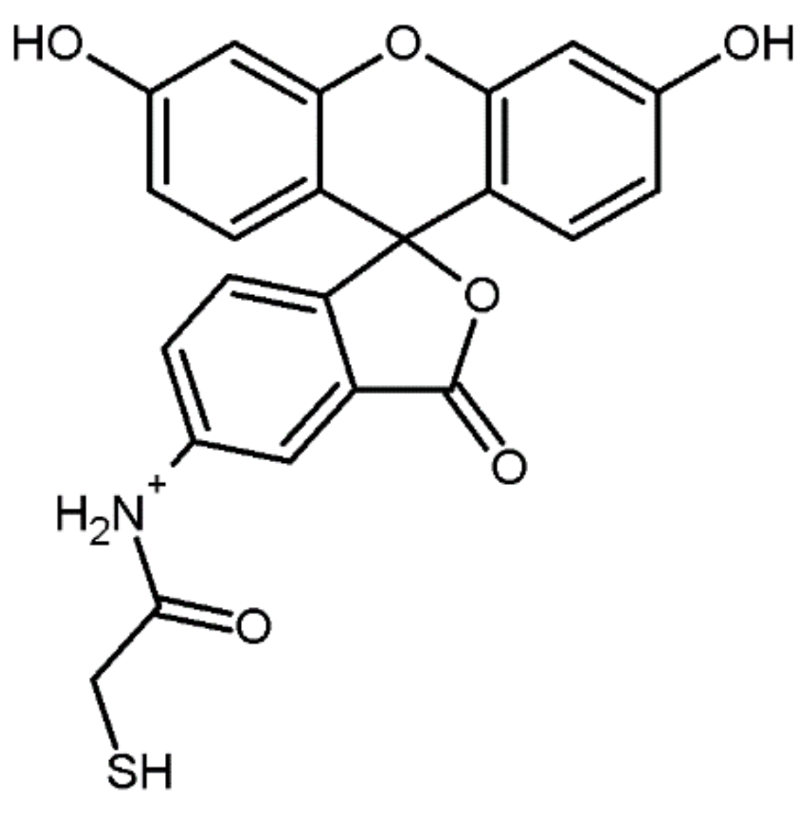 Molecules 27 01601 g020 Molecules 27 01601 g020