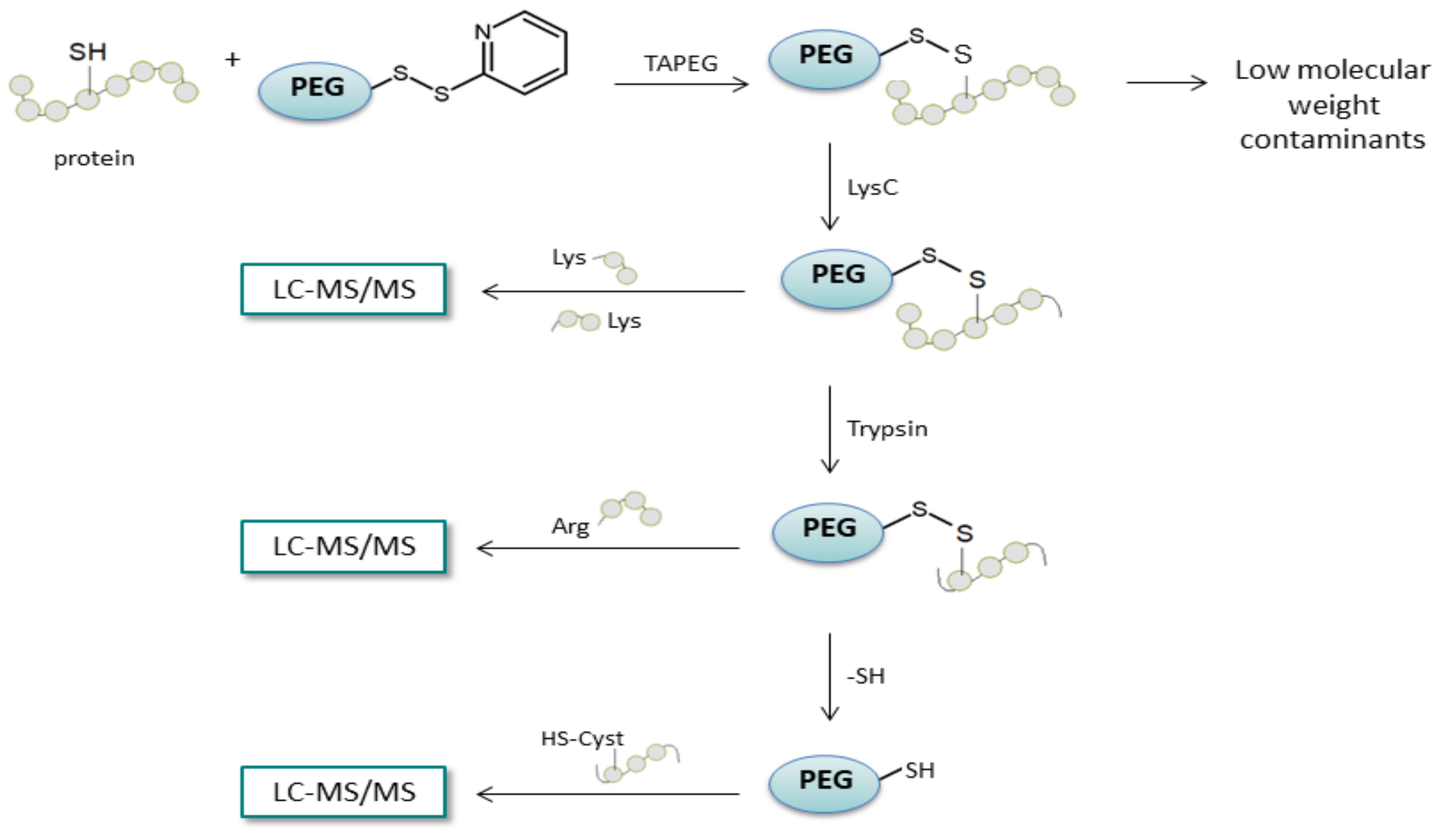 Molecules 27 01601 g022 Molecules 27 01601 g022