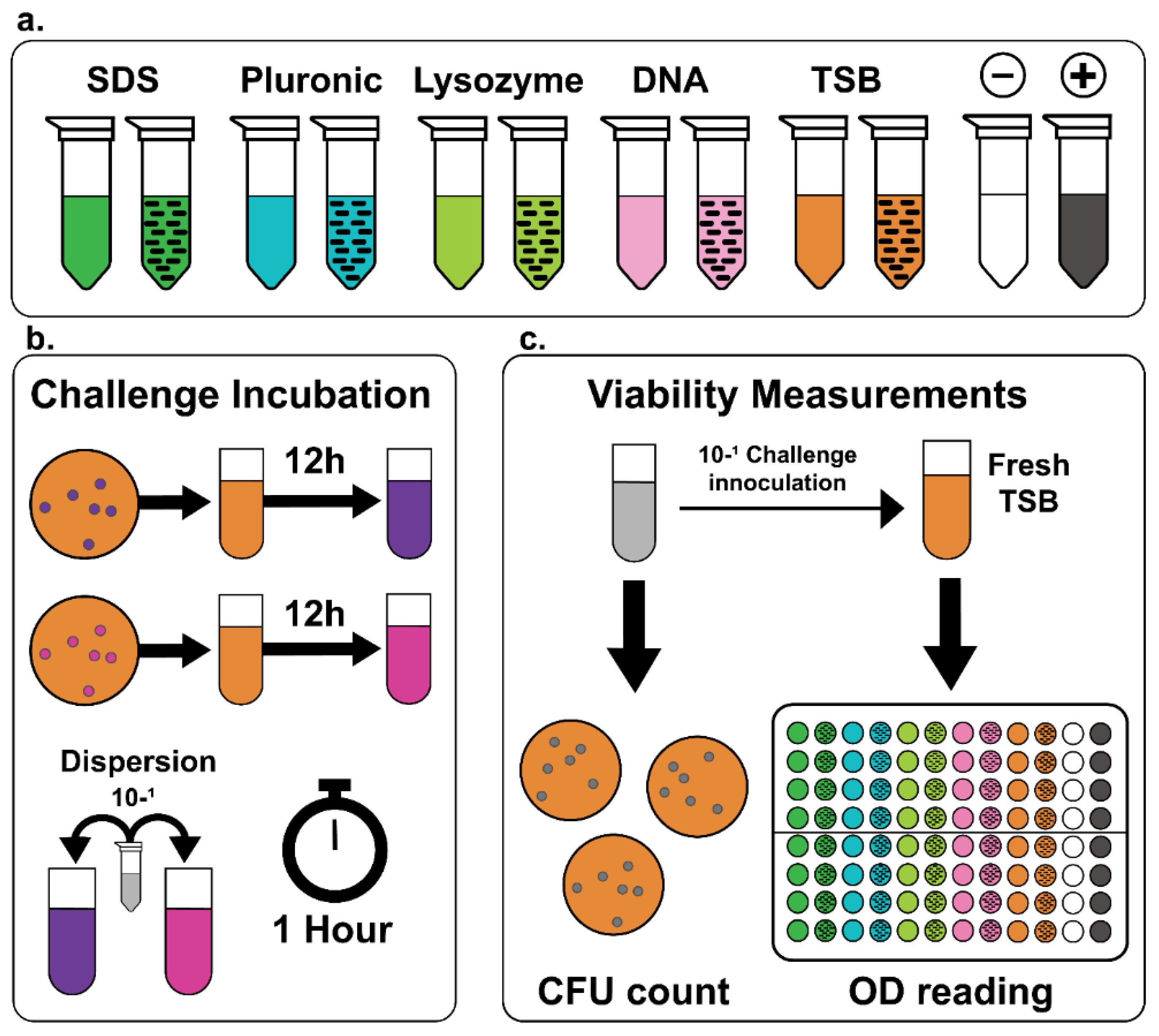 Molecules 27 01606 g001